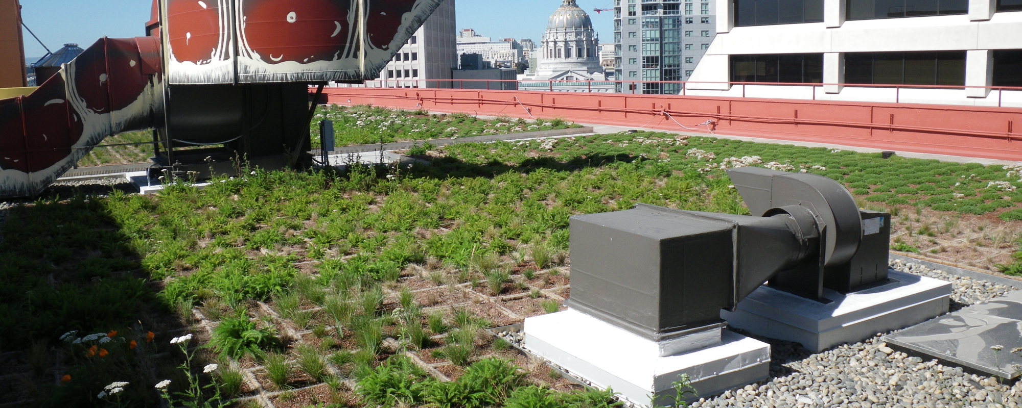 One South Van Ness Roof Replacement/Living Roof Project