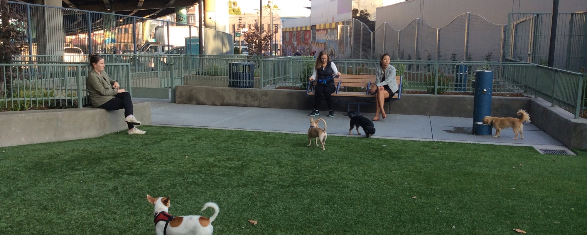 SoMa West - Skate Park and Dog Play Area