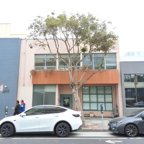 2255 Post Street tree