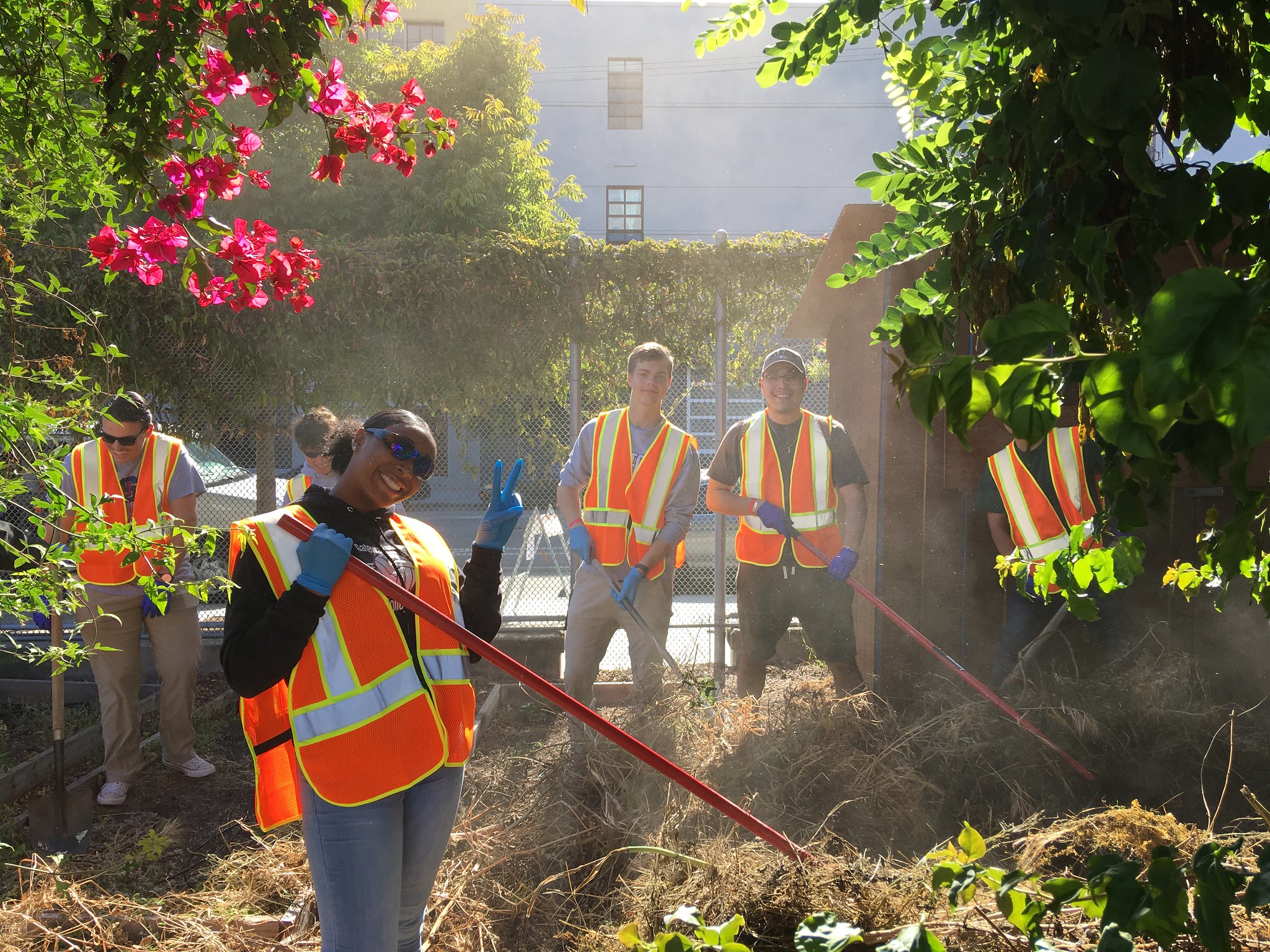 A group of volunteers cleaning a garden