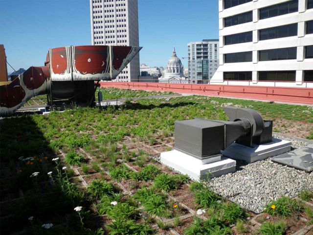 Some buildings with green space