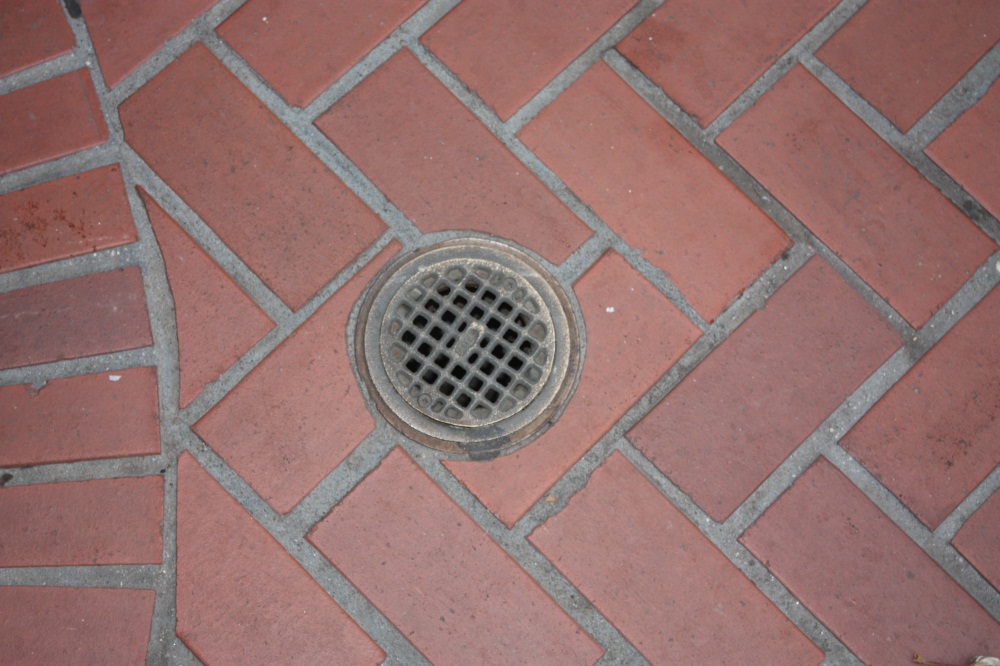 Sewer vent cover