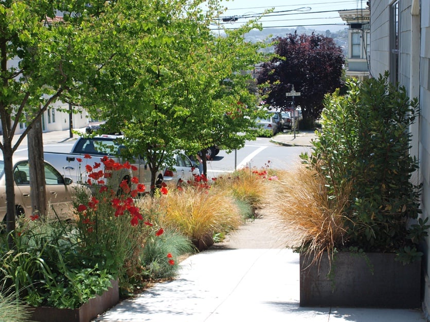 A street with amazing garden on the sidewalk 