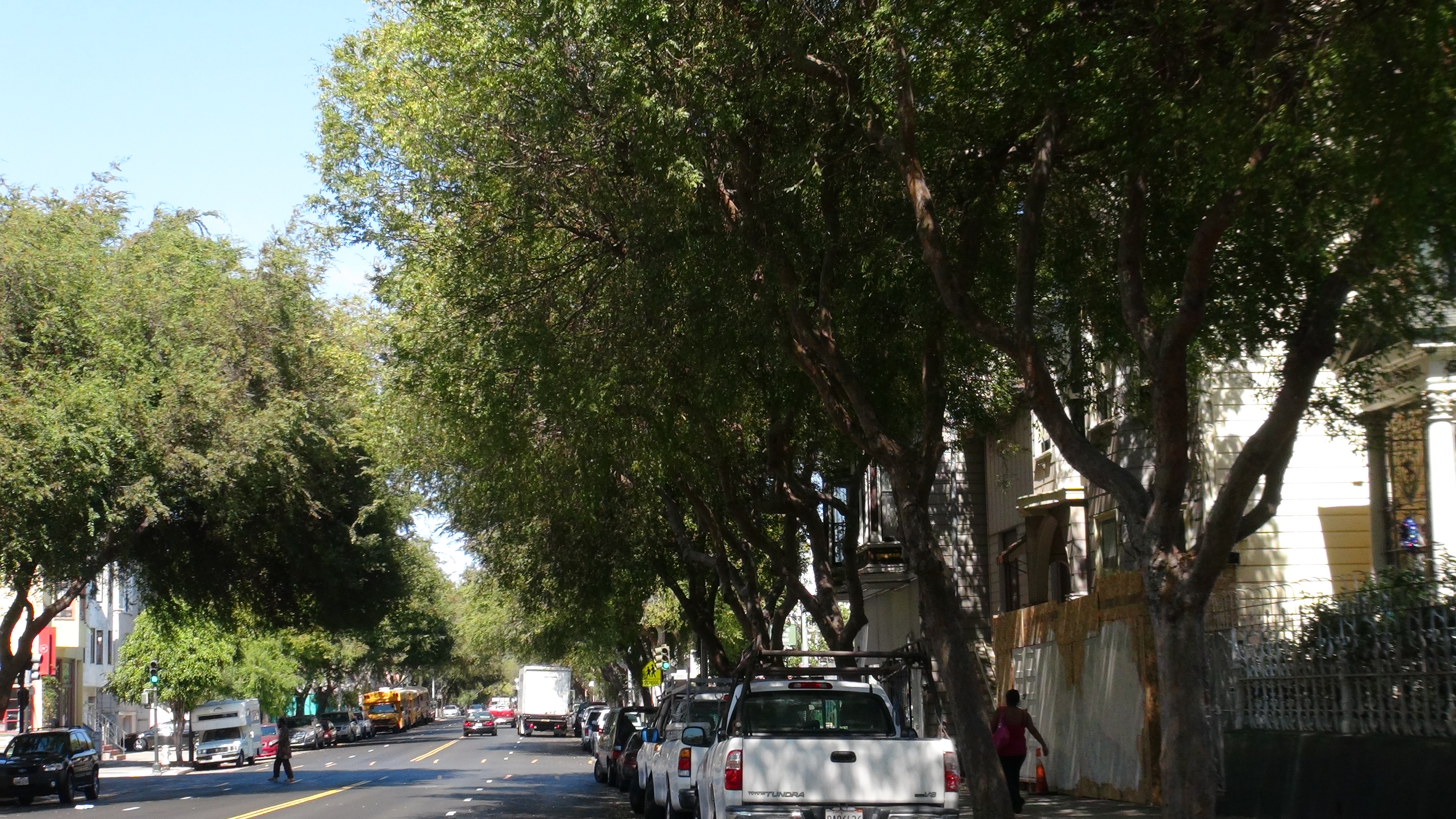 A street with a lot of trees