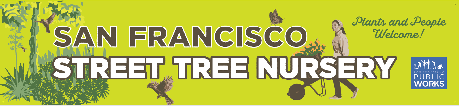 Banner of Street Tree Nursery