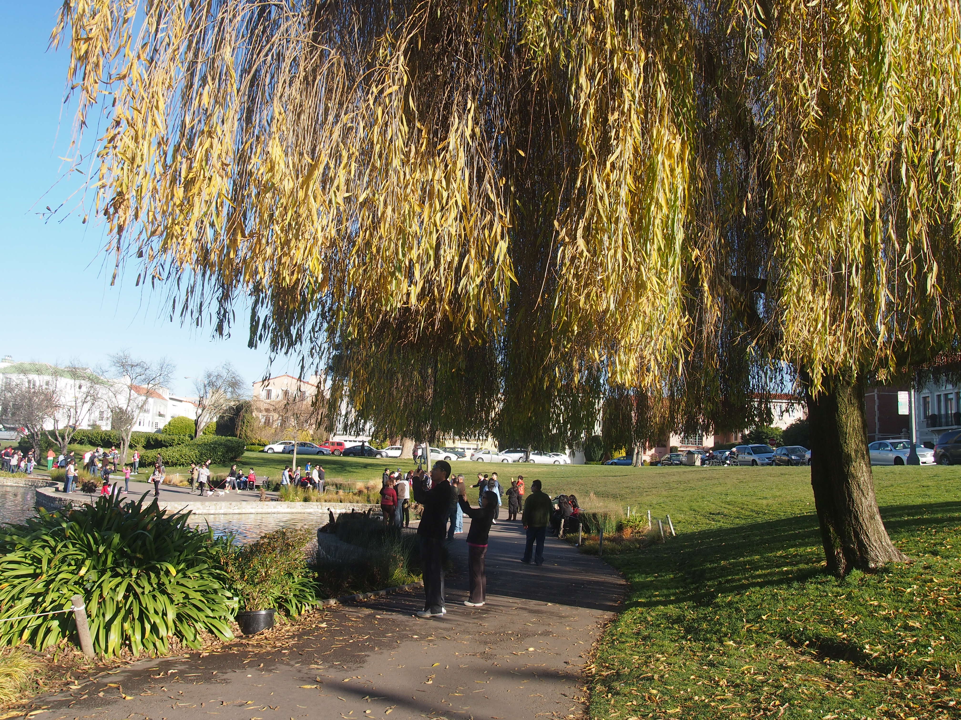 A lot of people in a park with trees