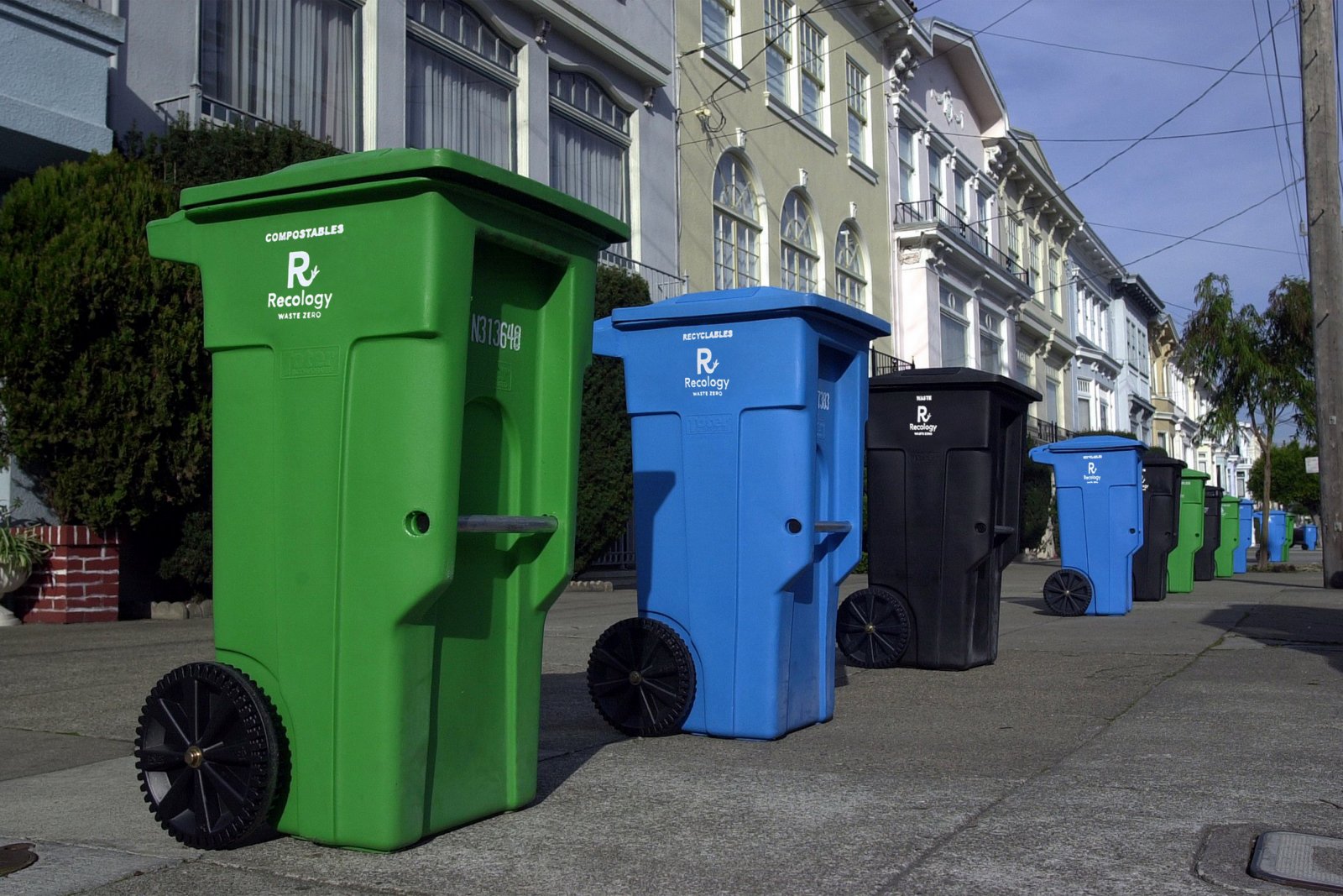 Recycling bins in front of houses