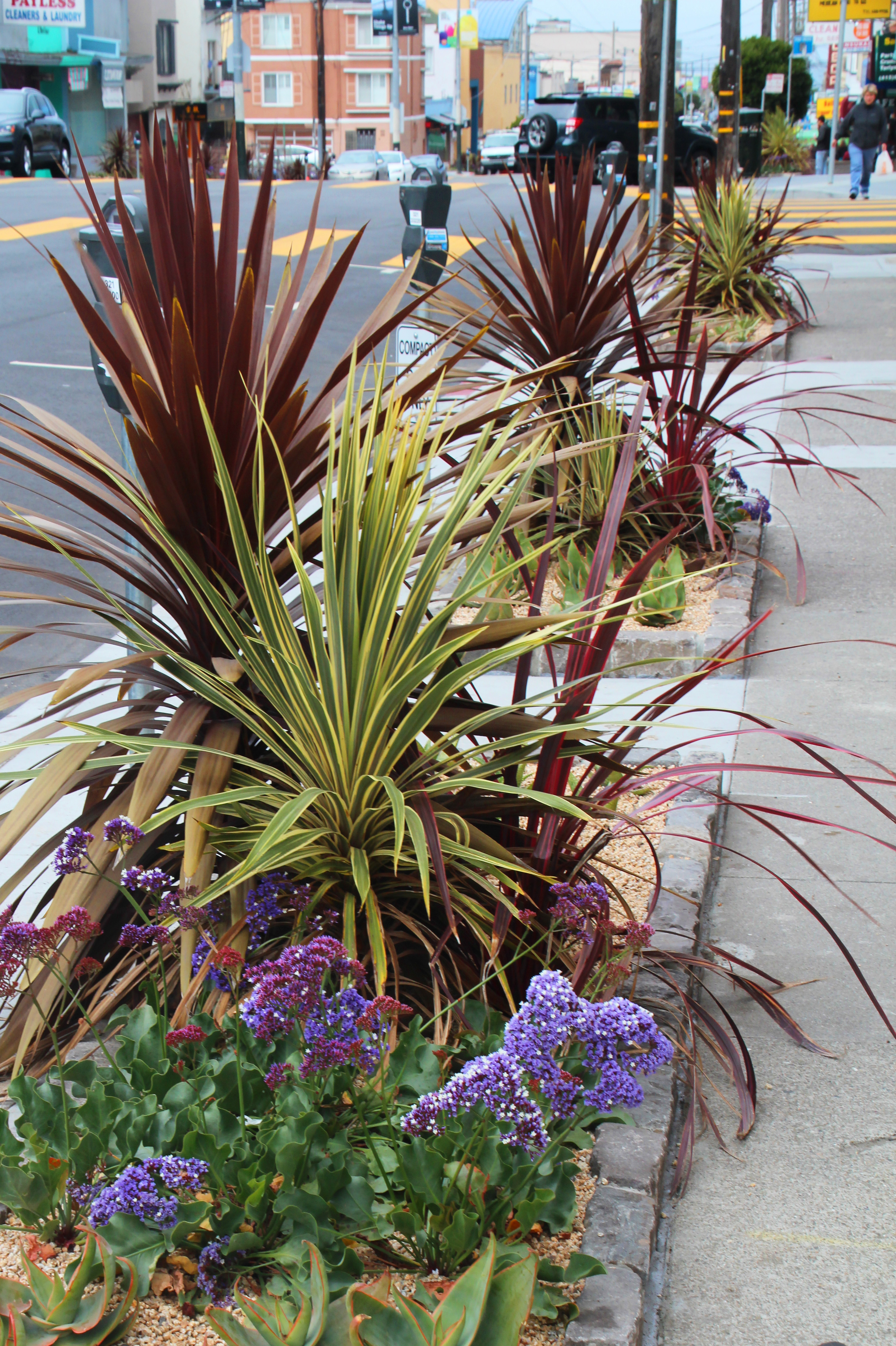 Balboa Streetscape Improvements