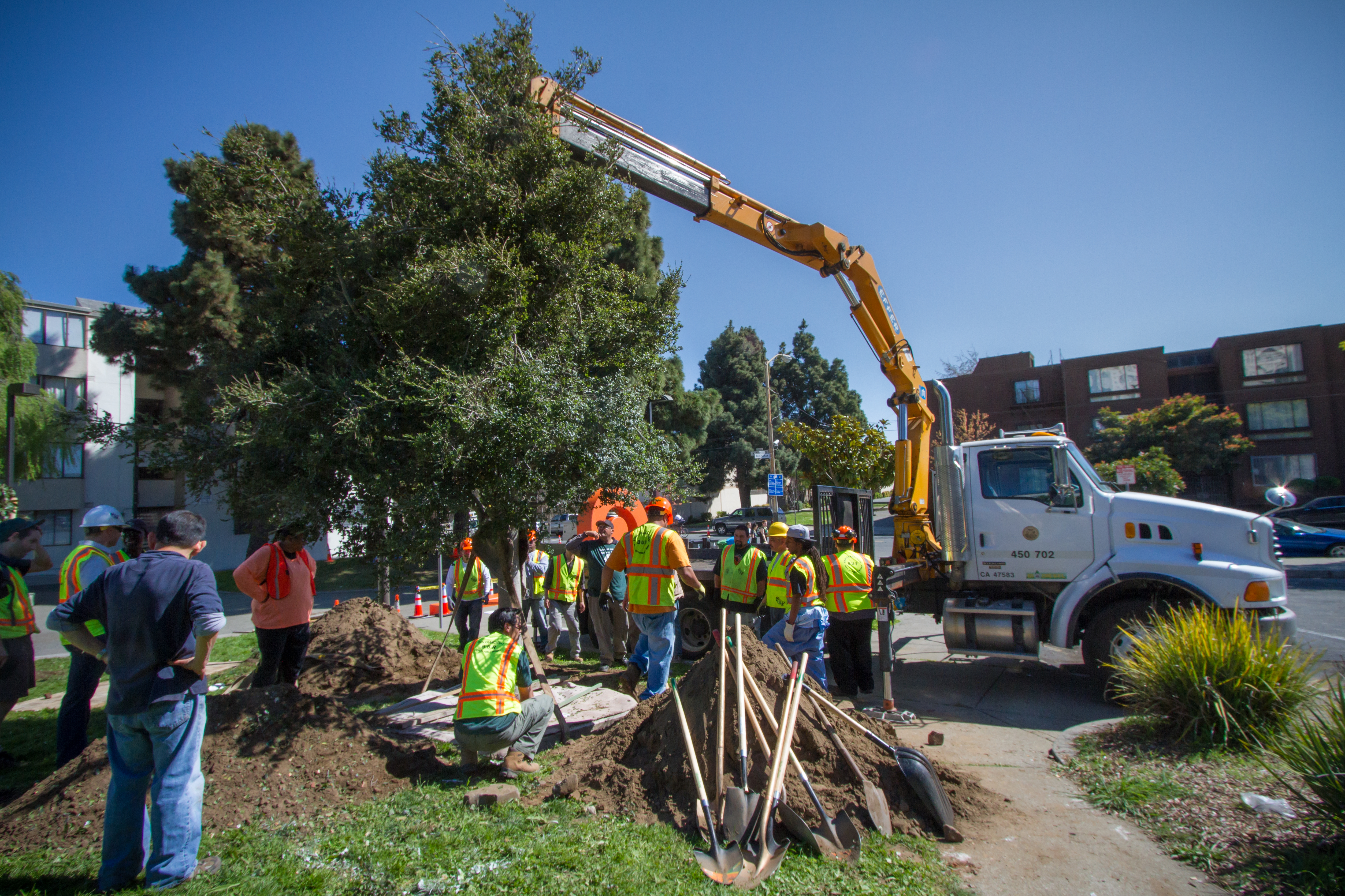 San Francisco Plants Signature Trees to Honor Two Neighborhood Leaders