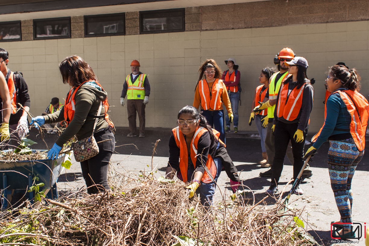 volunteers helping to landscape near a school