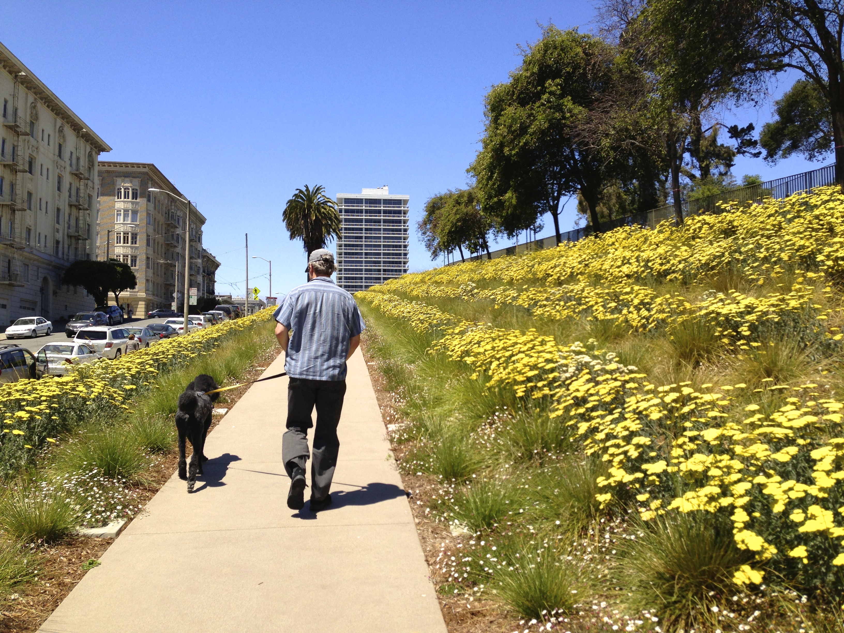 Lafayette Park