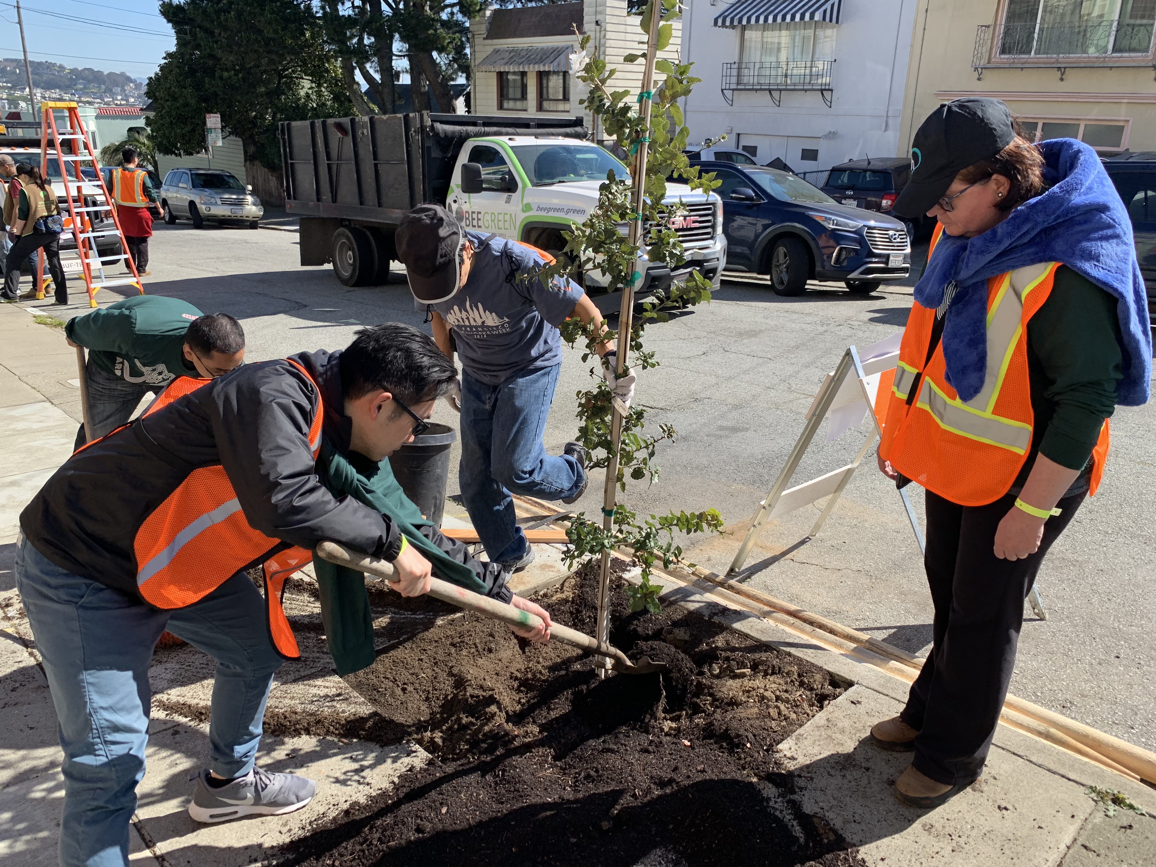 planting a tree