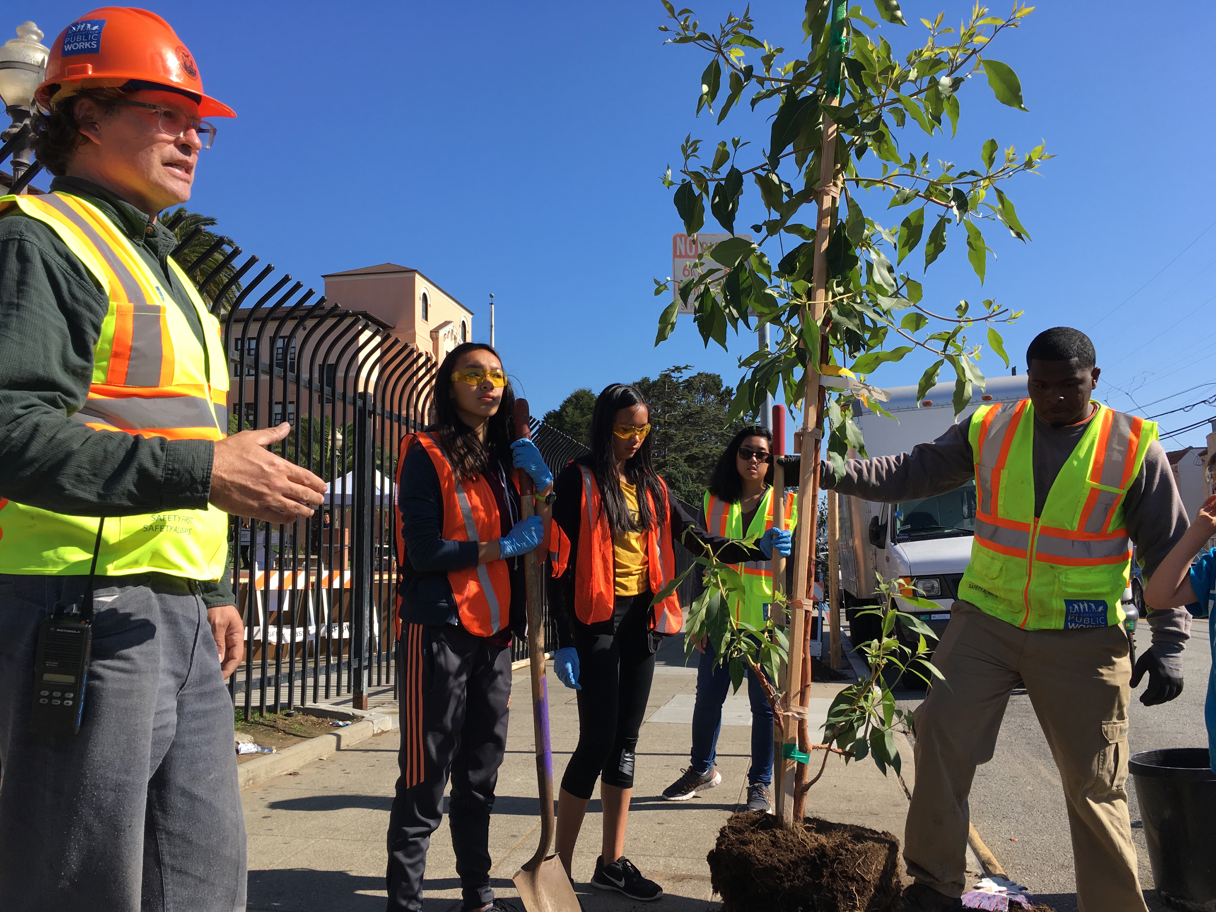 volunteers work with arborist to plant tree