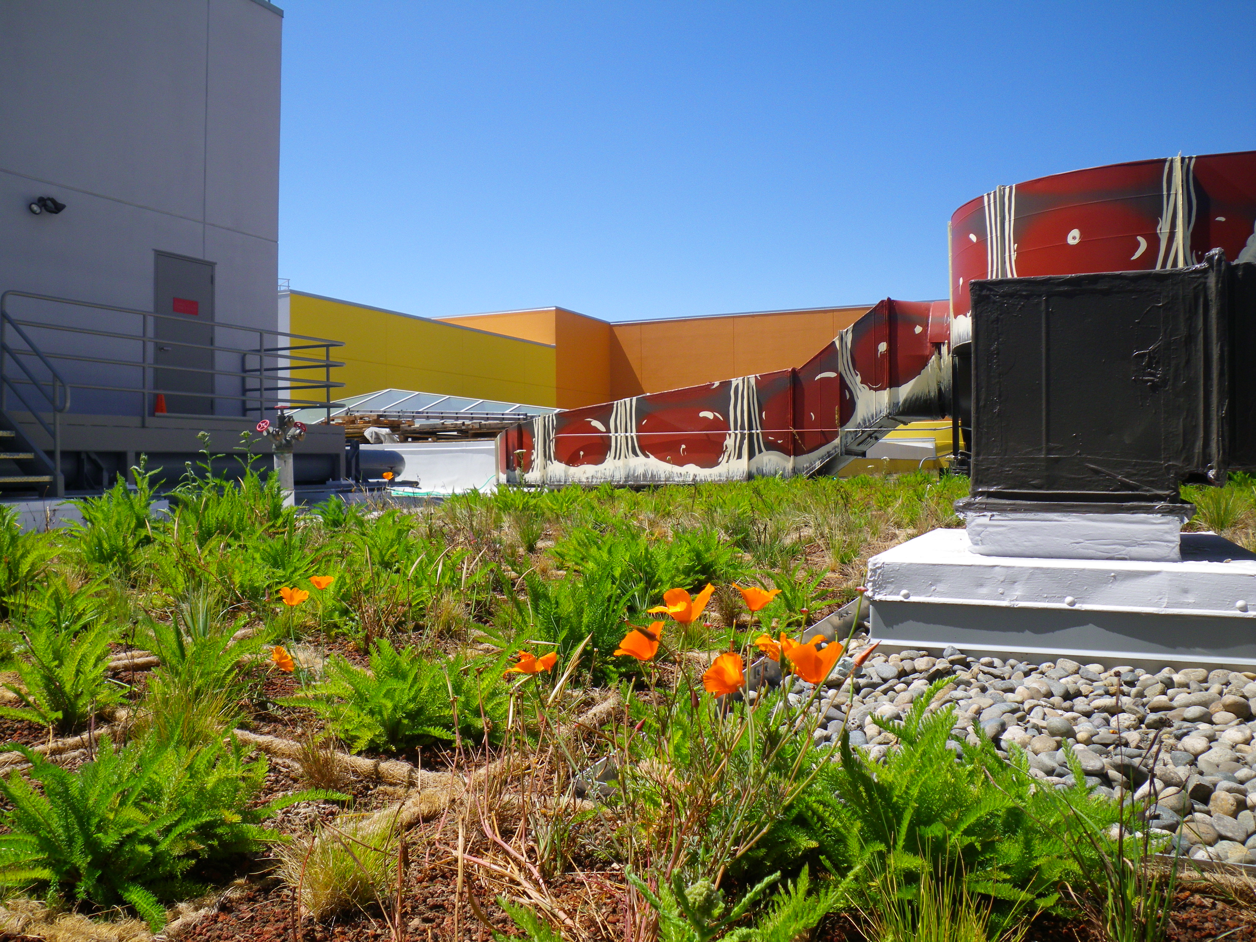 One South Van Ness Roof Replacement/Living Roof Project