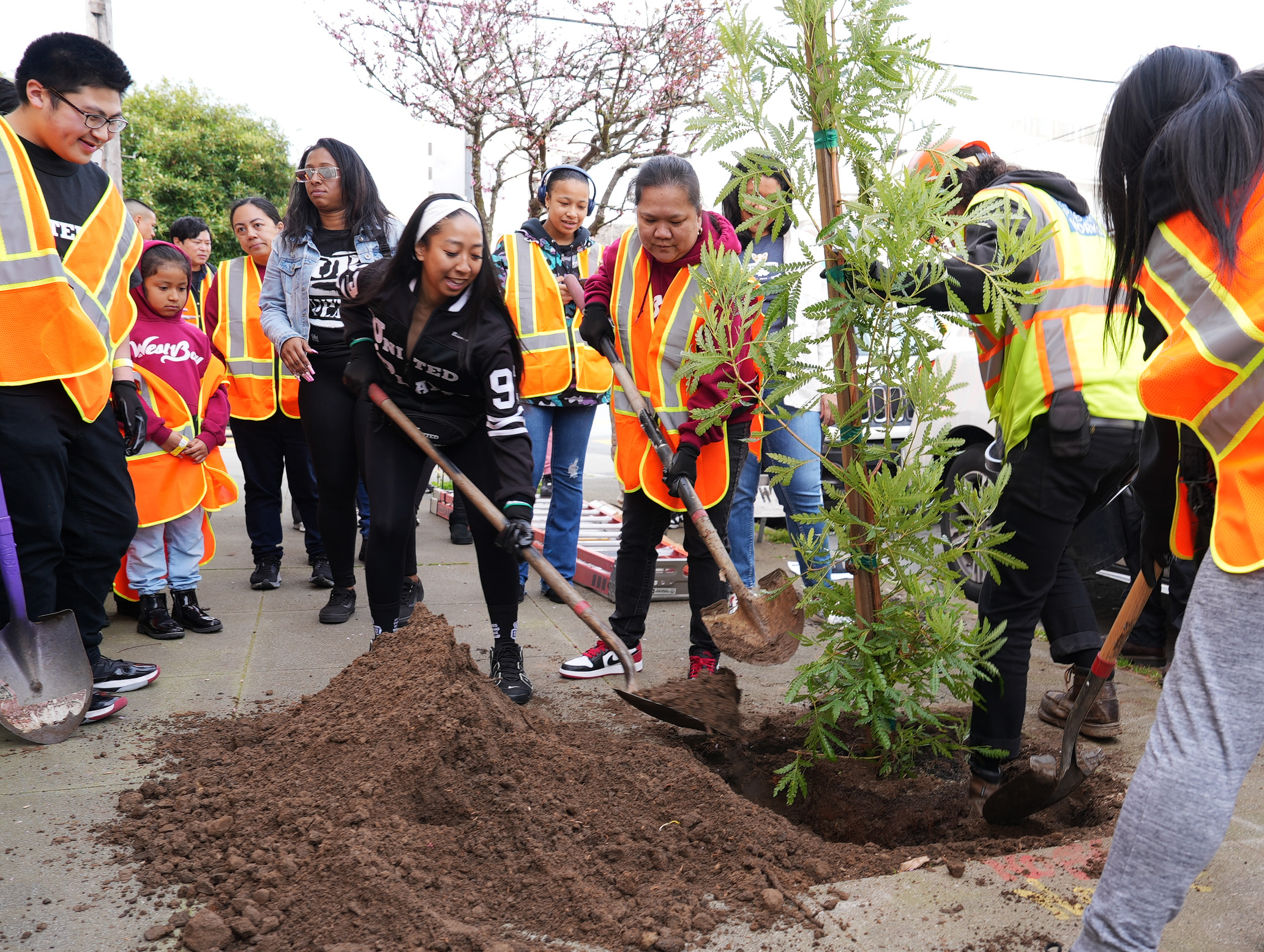 arbor day tree planting