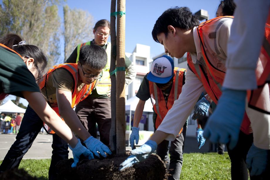 Volunteers planting tree