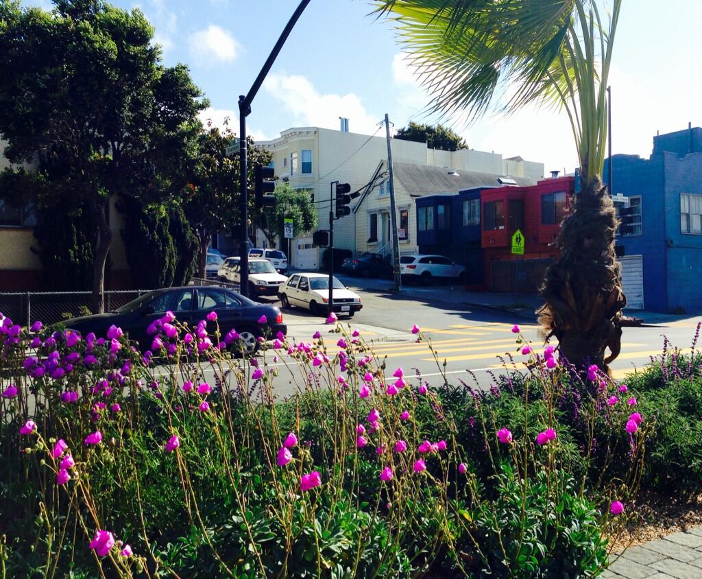 Cesar Chavez Streetscape Project median