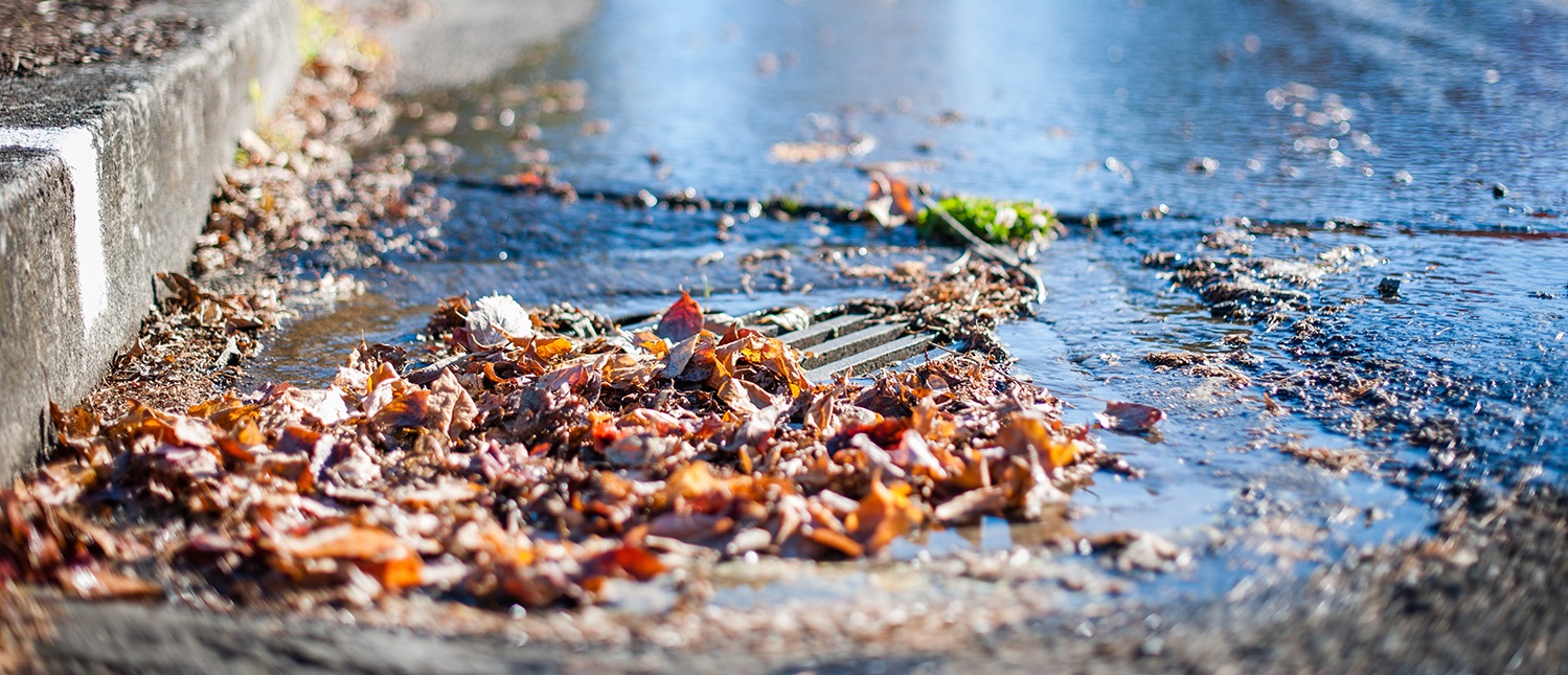 leaves clog up a drain