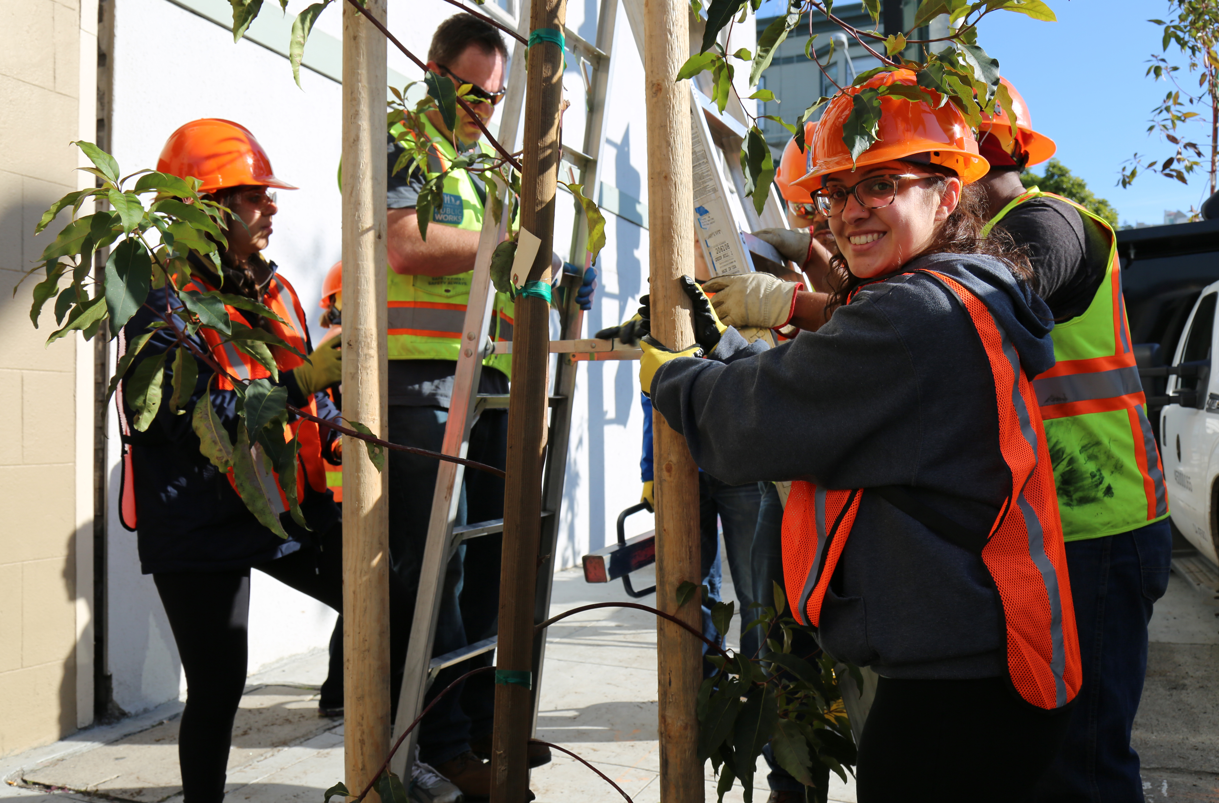 Volunteers planting a tree