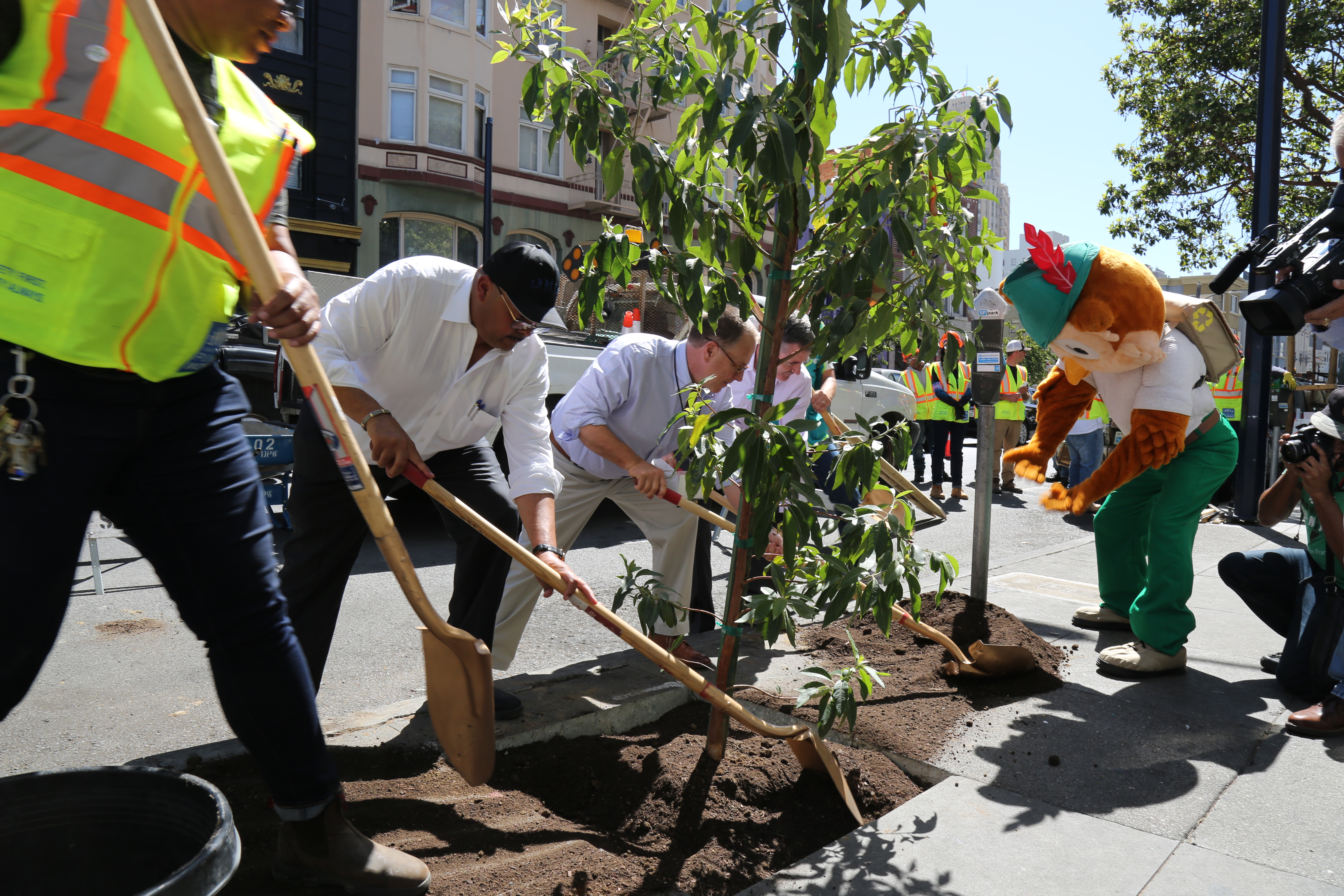 Tree planting event