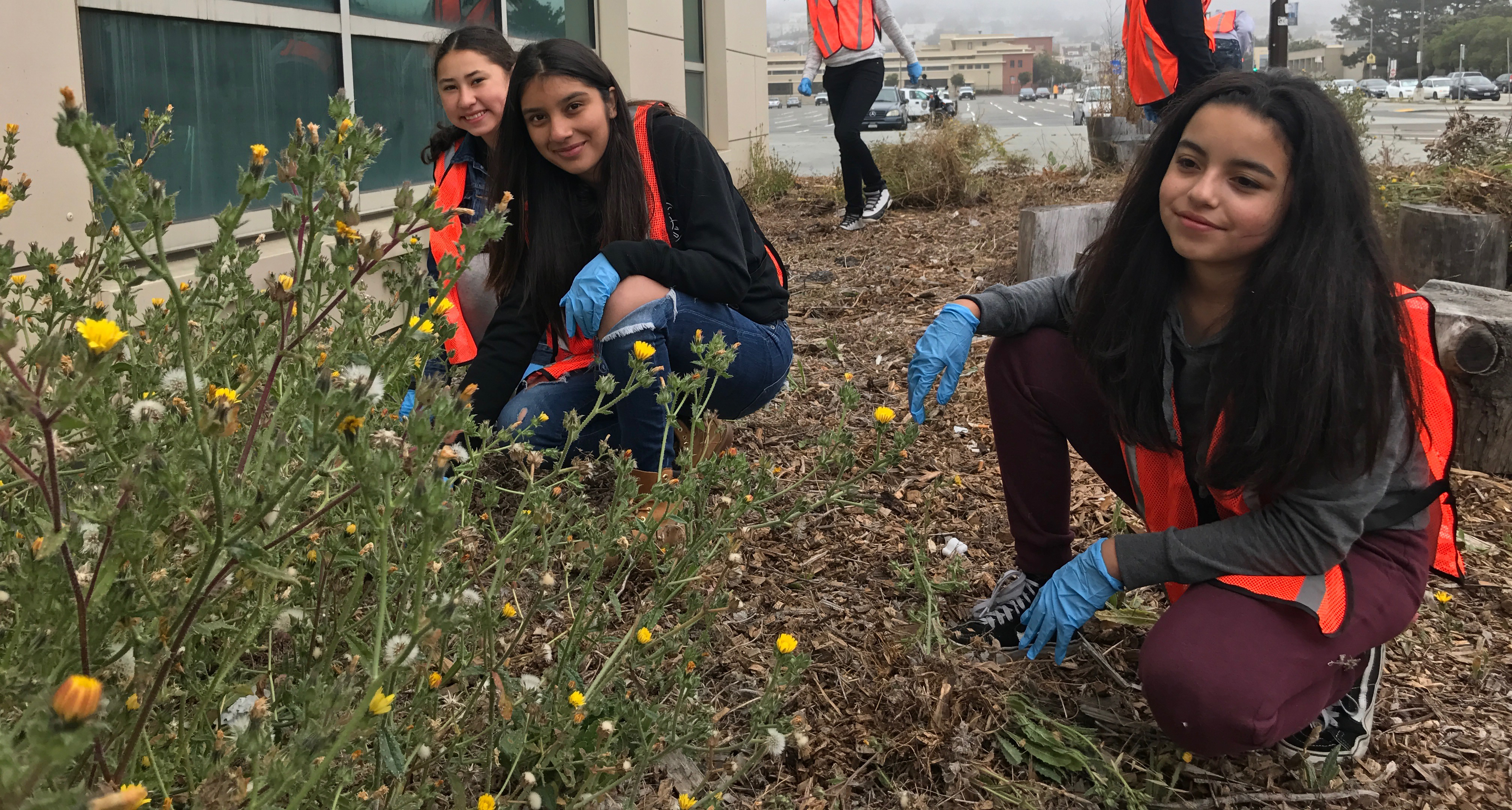 photo of volunteers