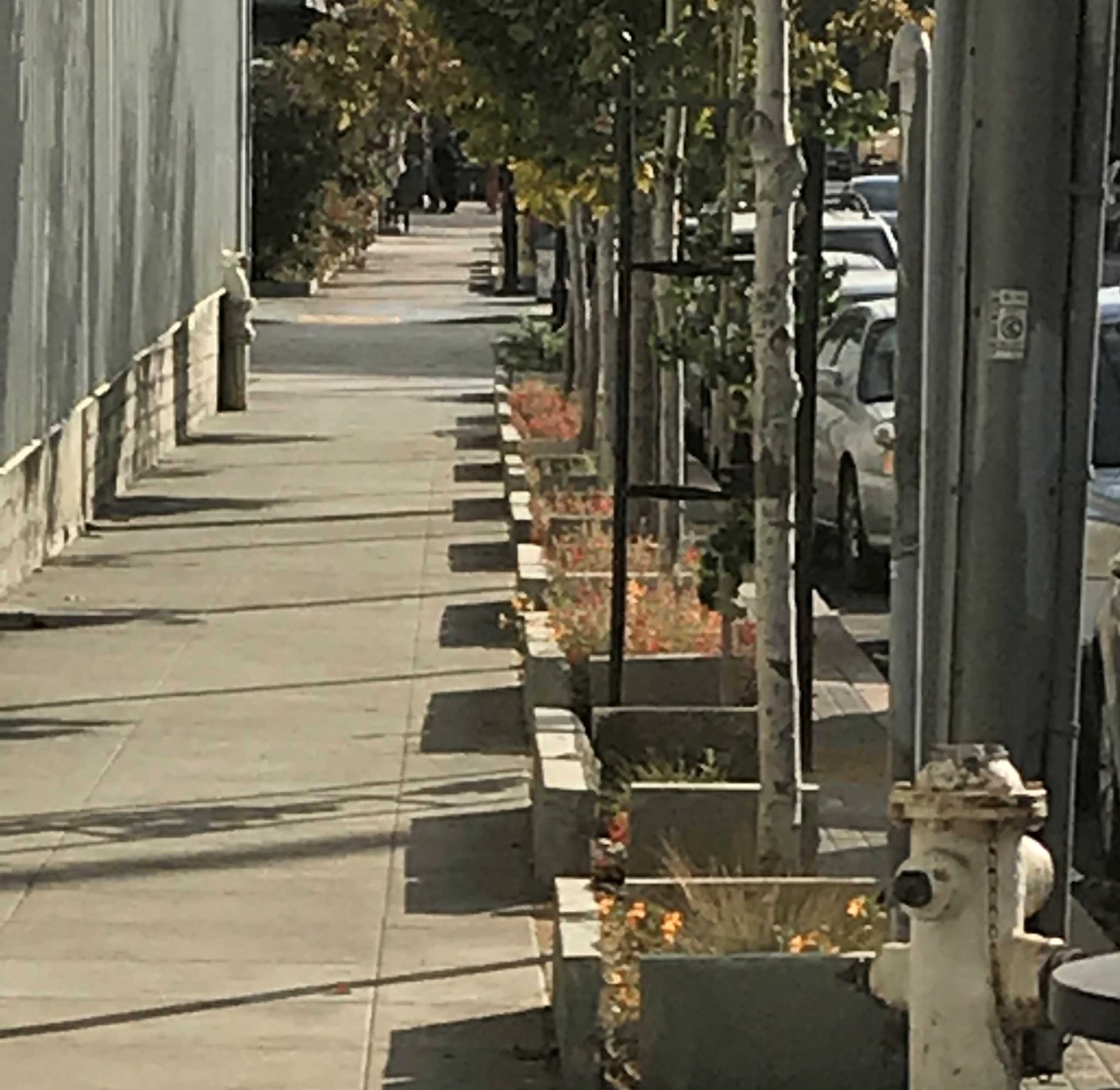 sidewalk landscape