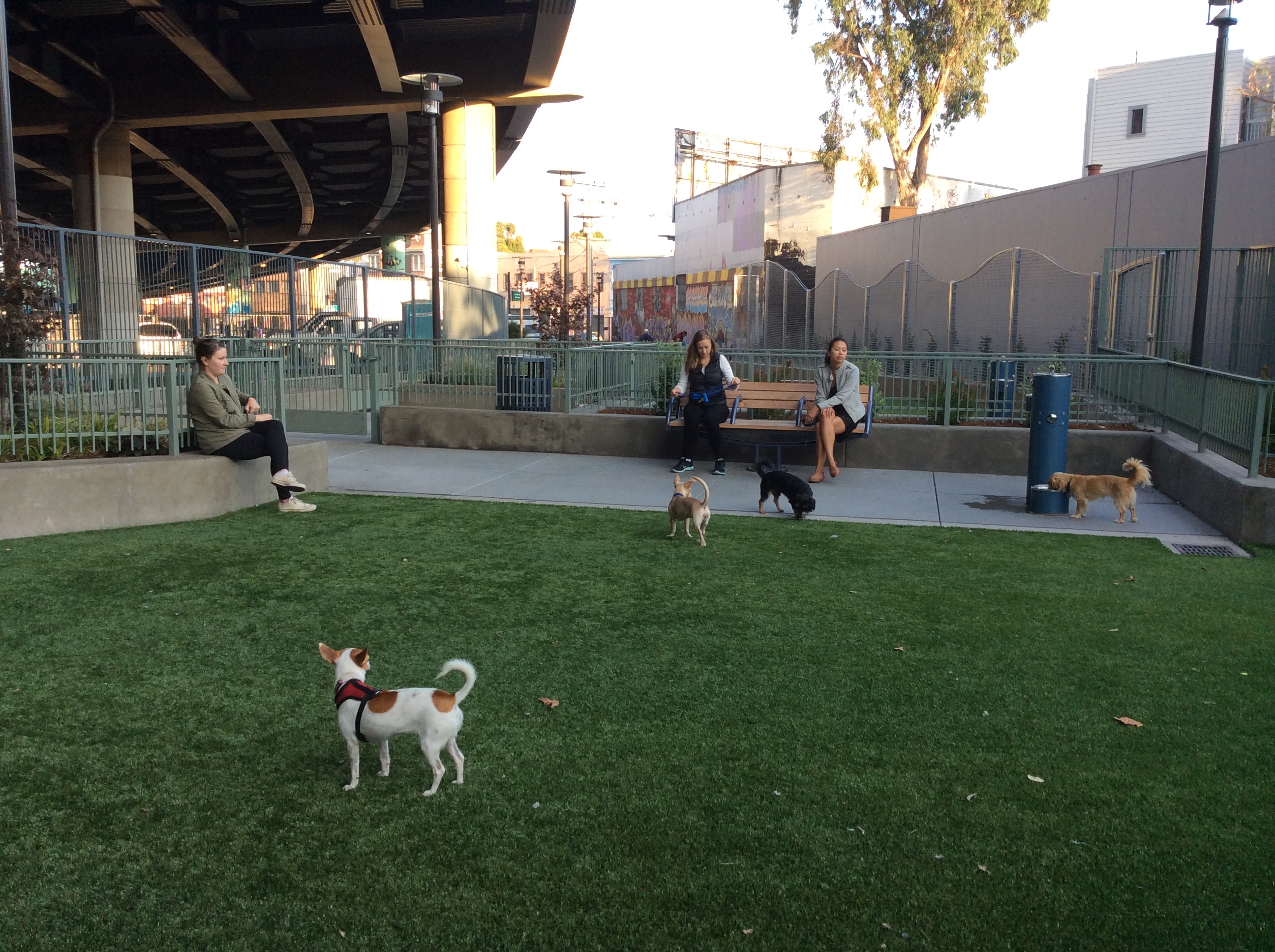 SoMa West - Skate Park and Dog Play Area