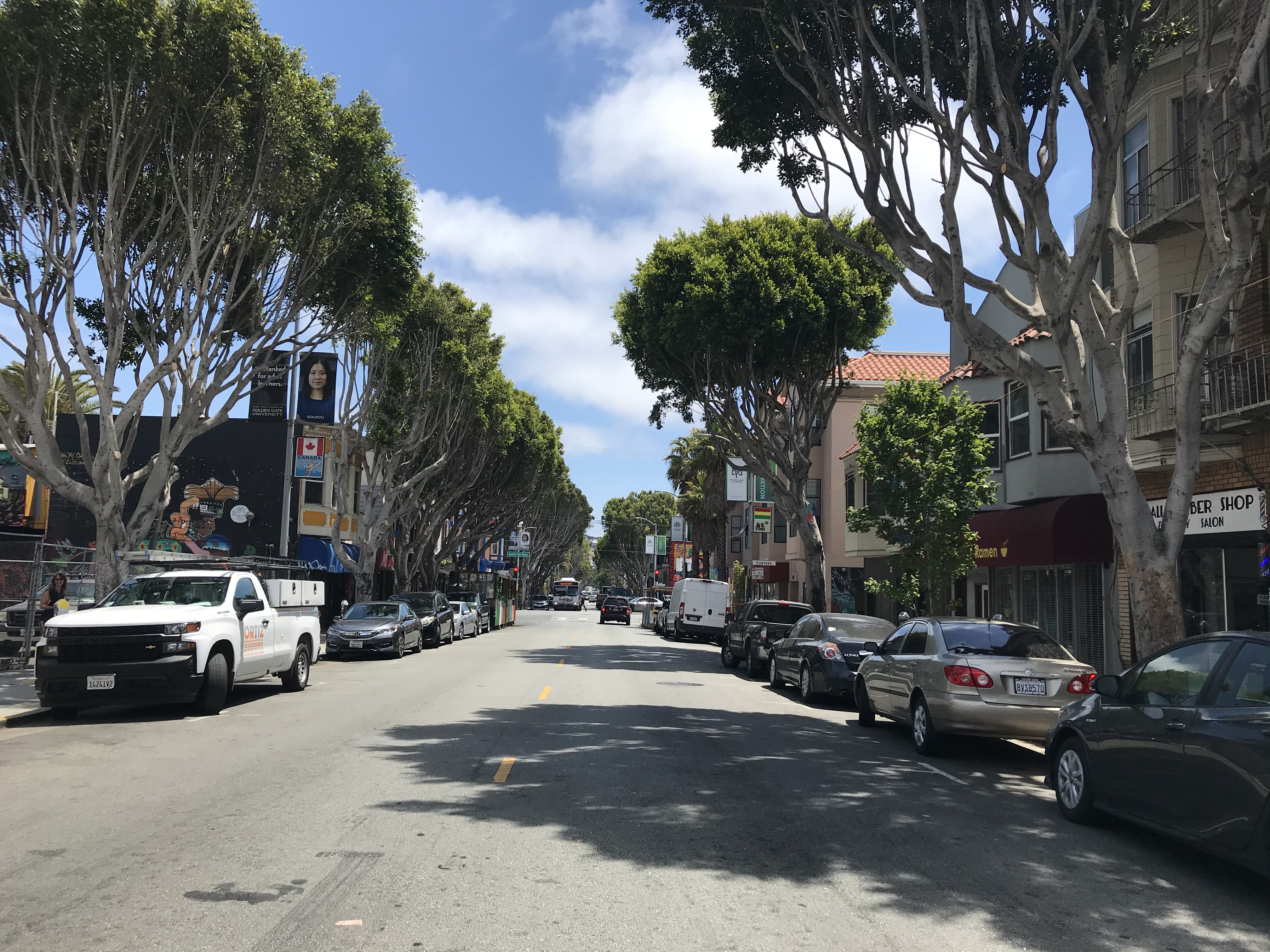 calle 24 street trees