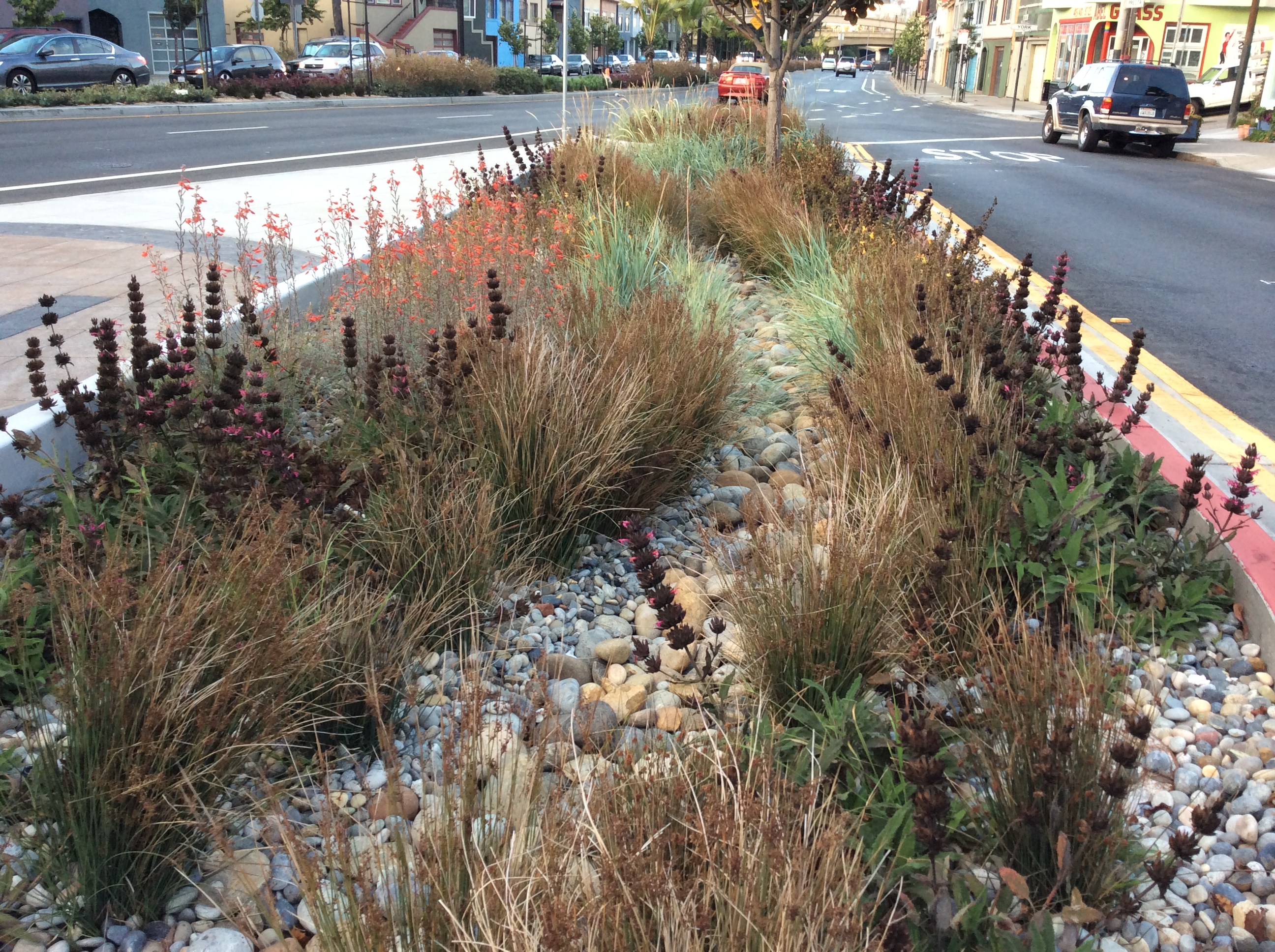 Cesar Chavez Streetscape Project