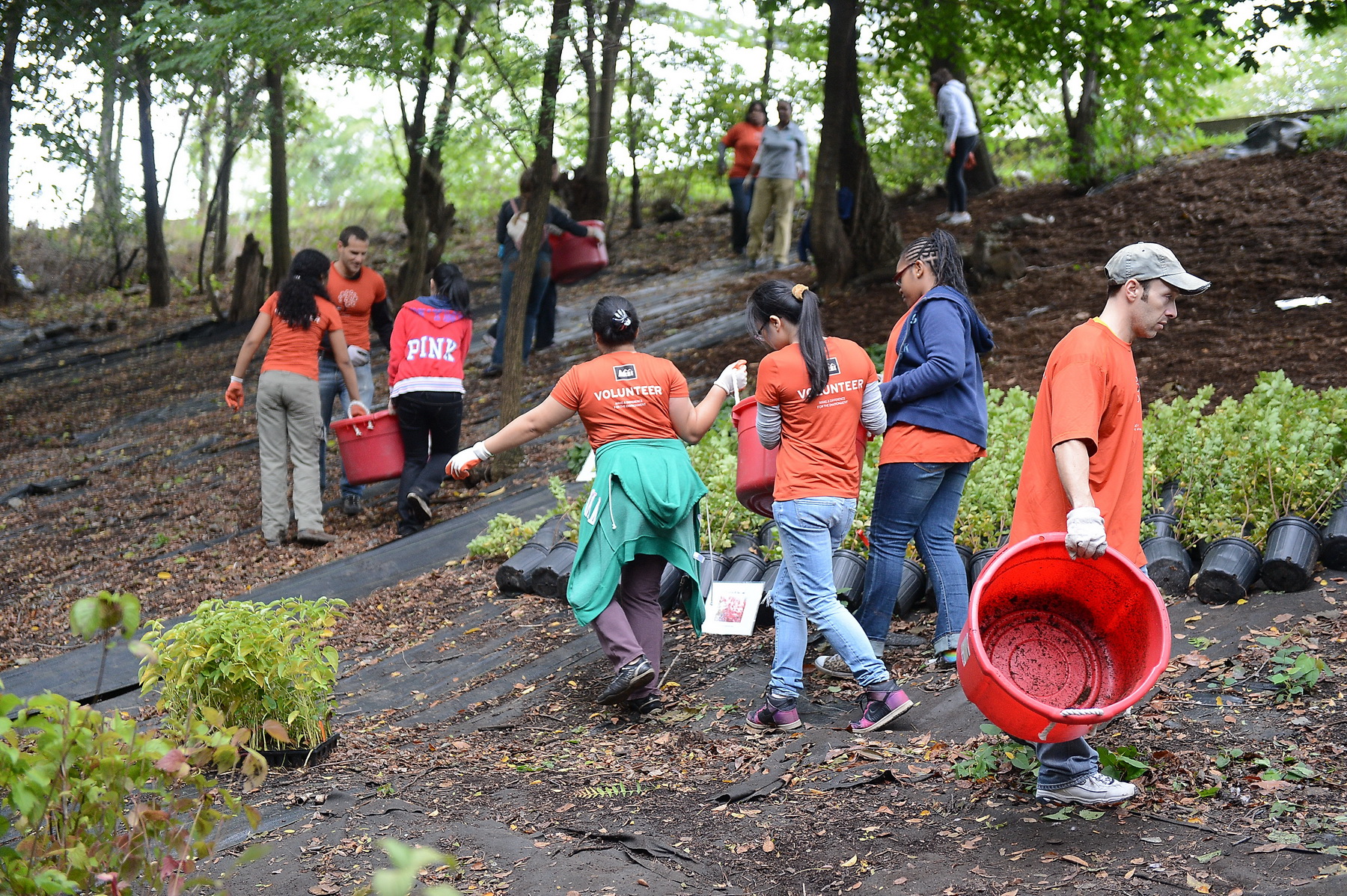 volunteers