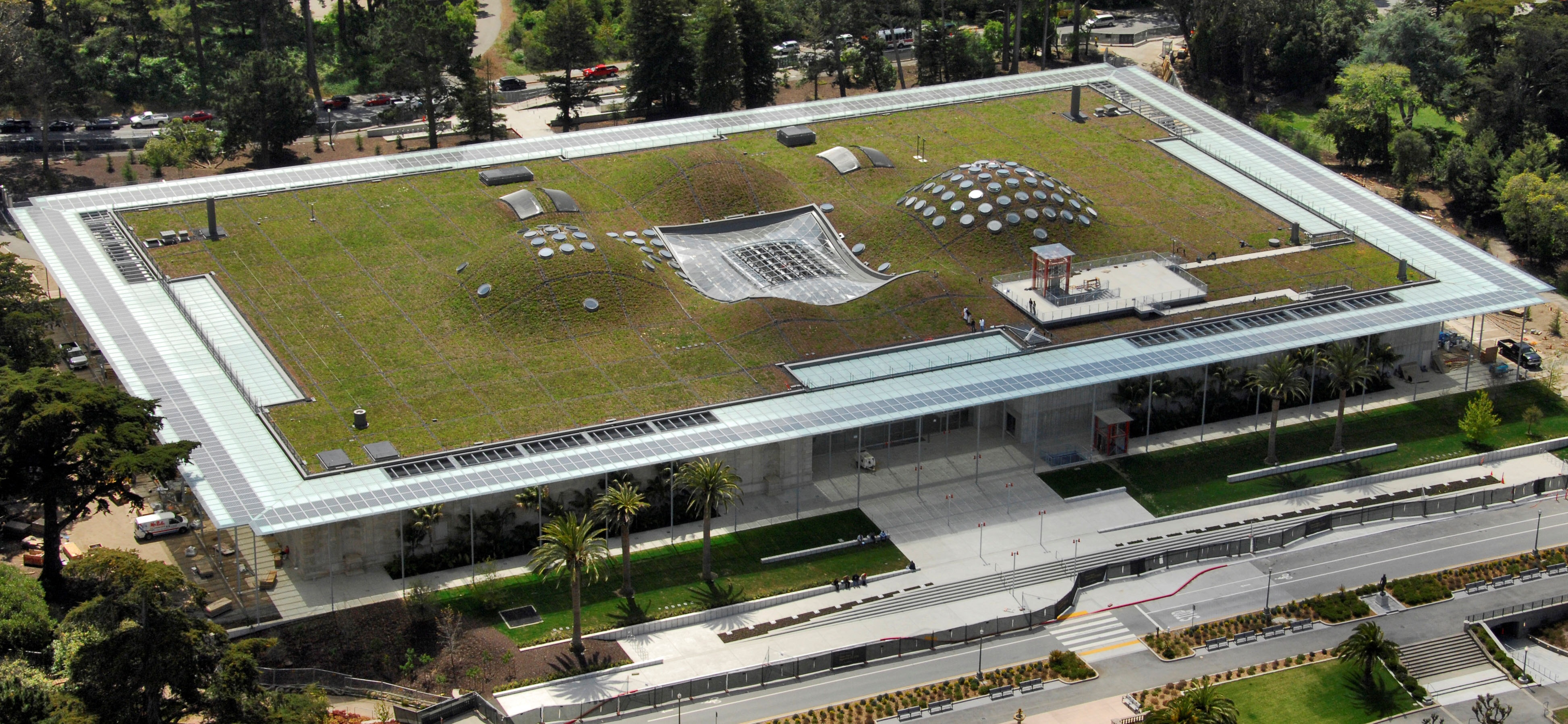 California Academy of Sciences