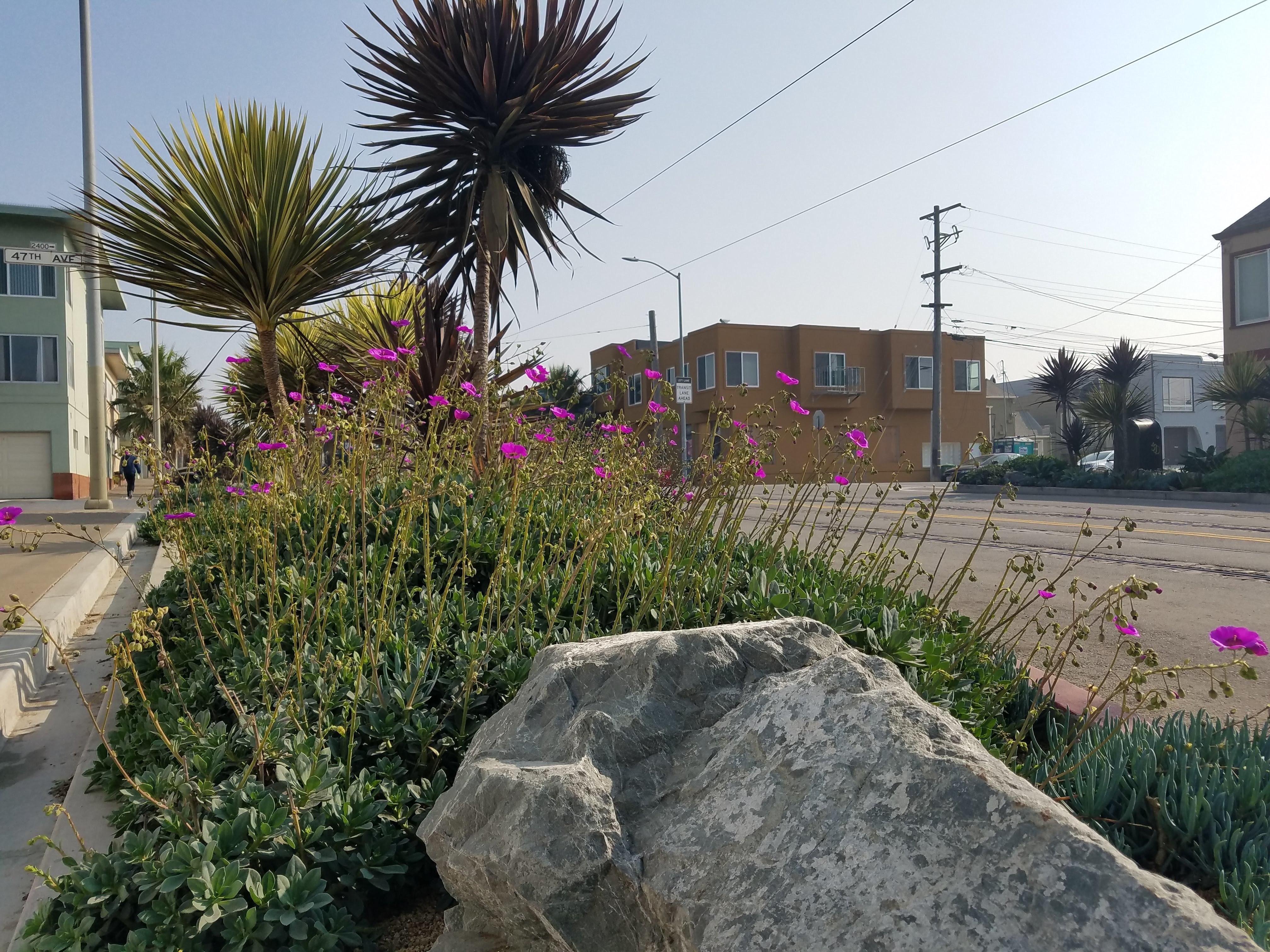 taraval landscaping