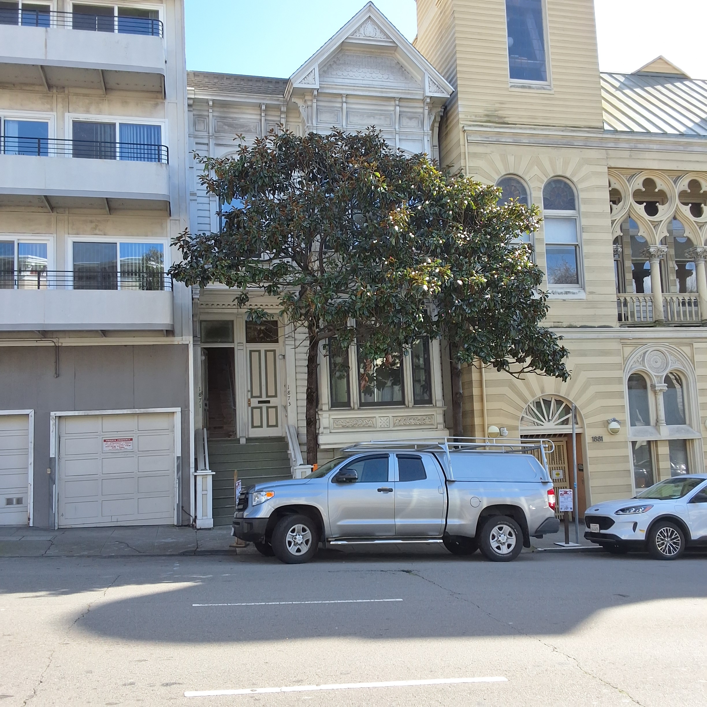 1871 Bush Street Tree