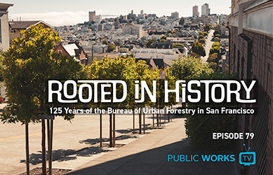 Rooted in history title with trees on a street