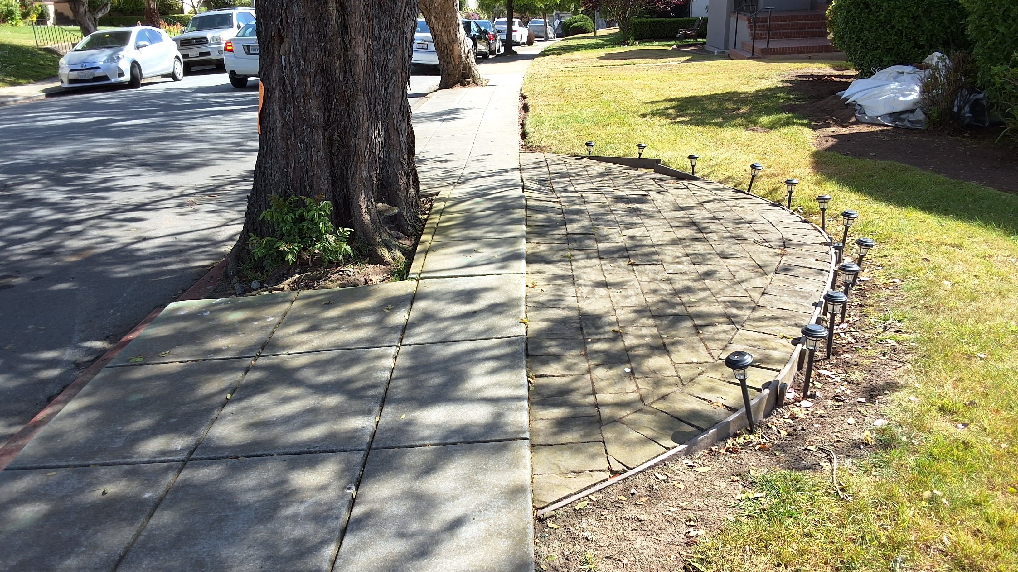 350 Santa Ana Ave. tree