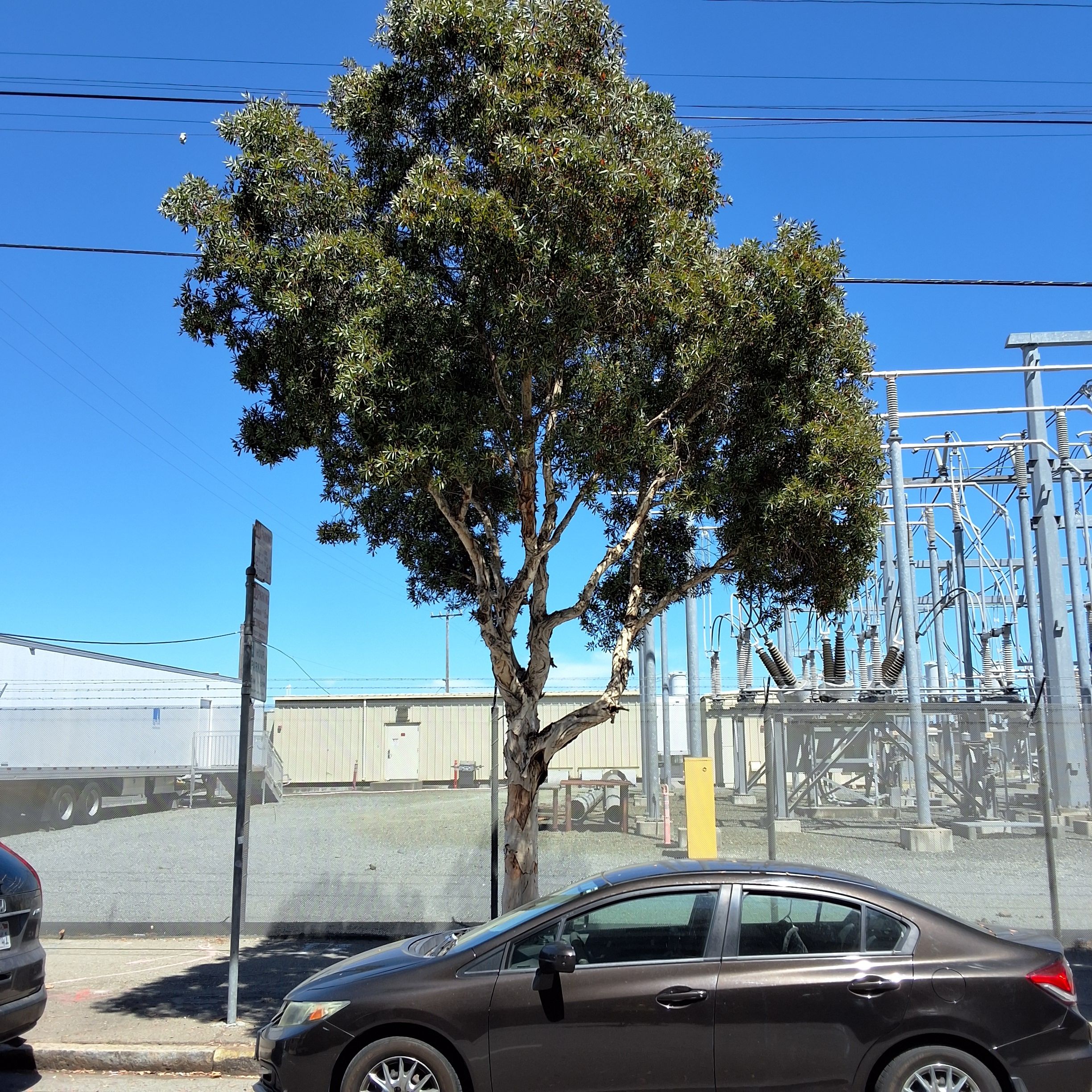 1101 Illinois St Melaleuca ID 193574