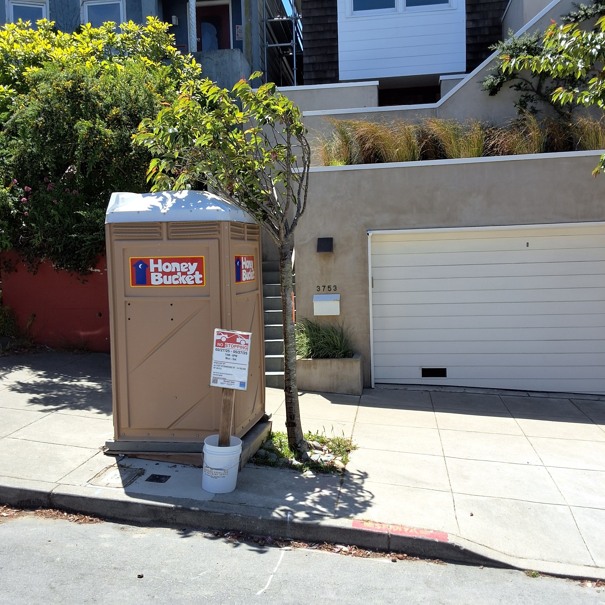 3753 21st St tree