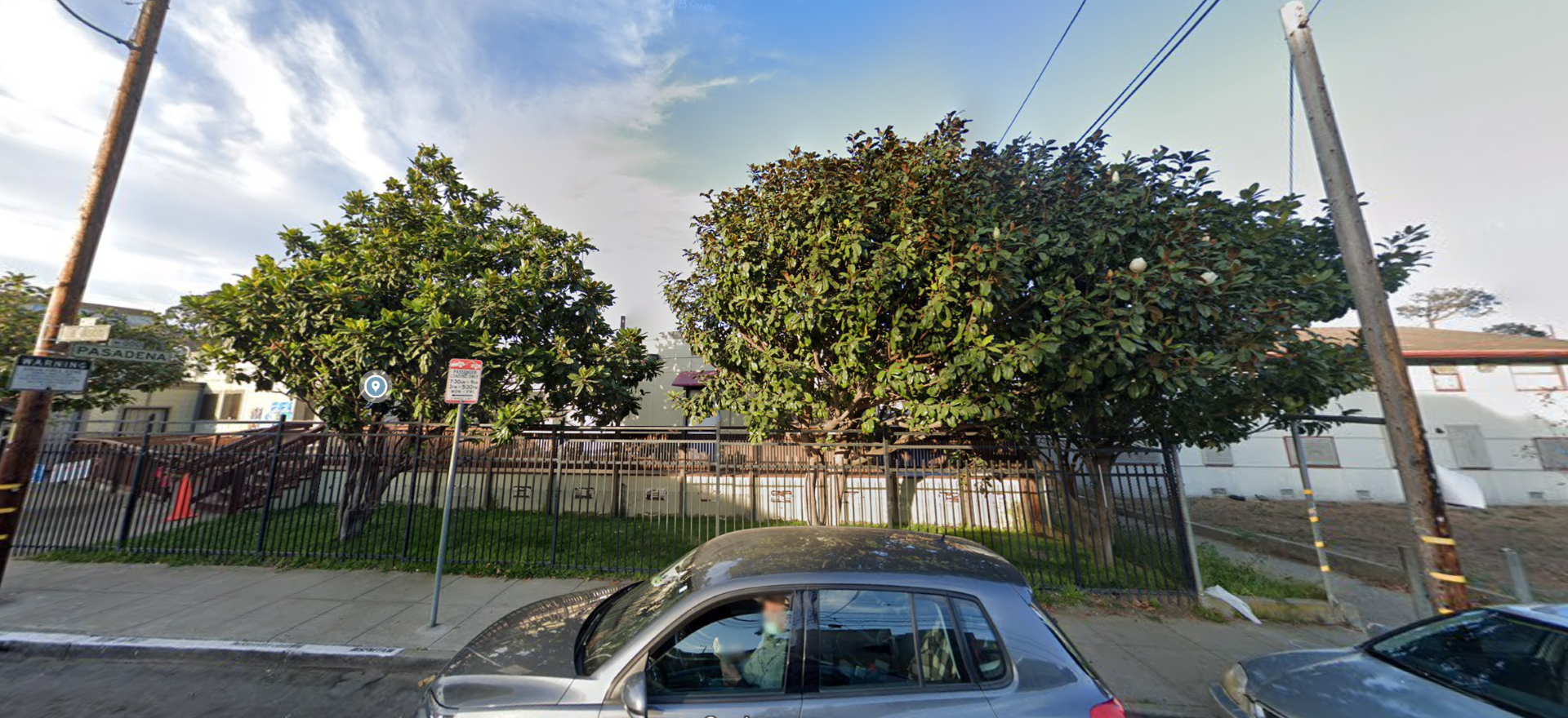 tree at 600 - 700 Velasco Ave