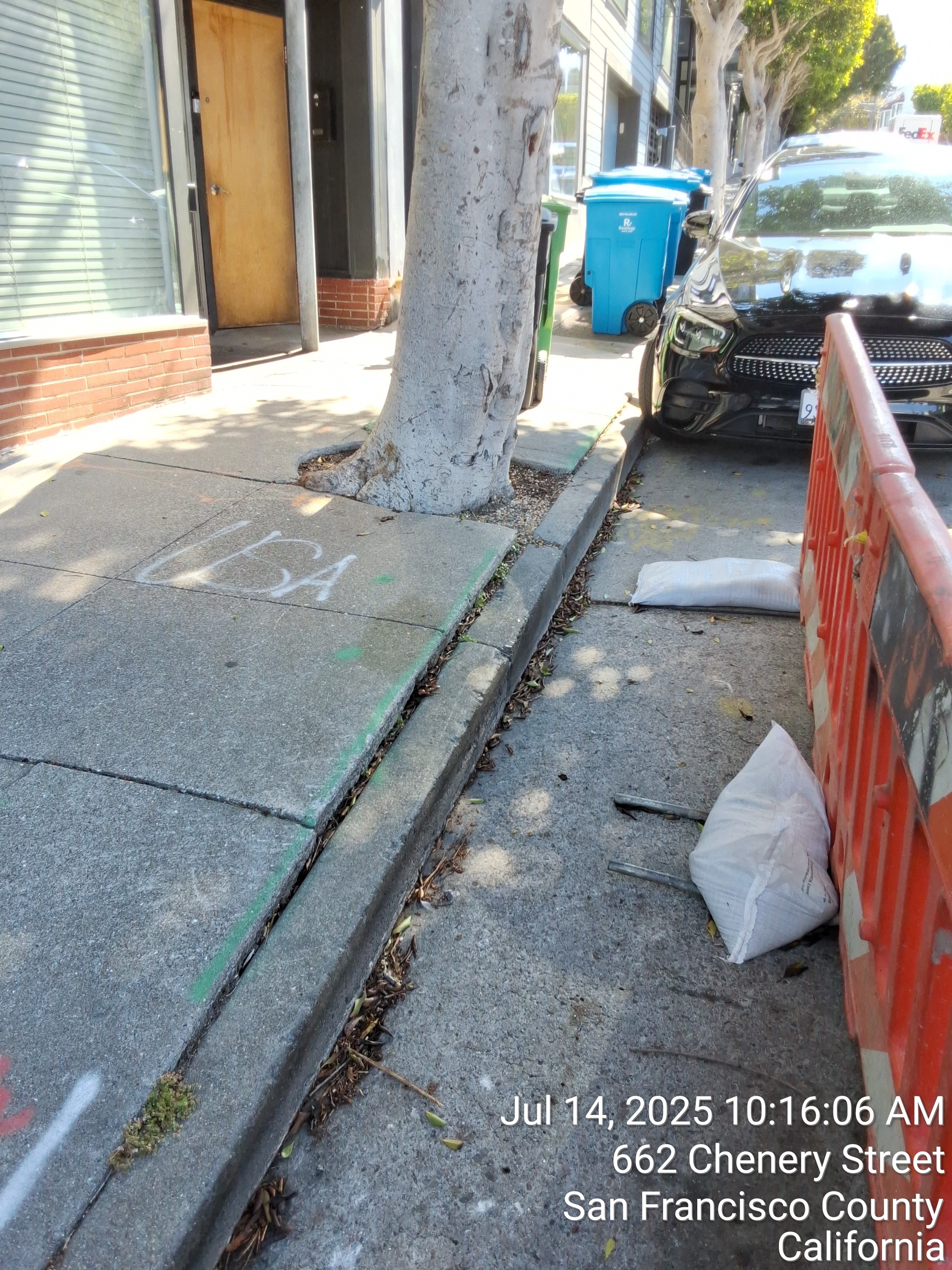 660 Chenery St tree
