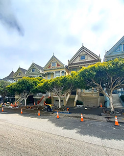 Painted Ladies with sidewalk work being completed in front