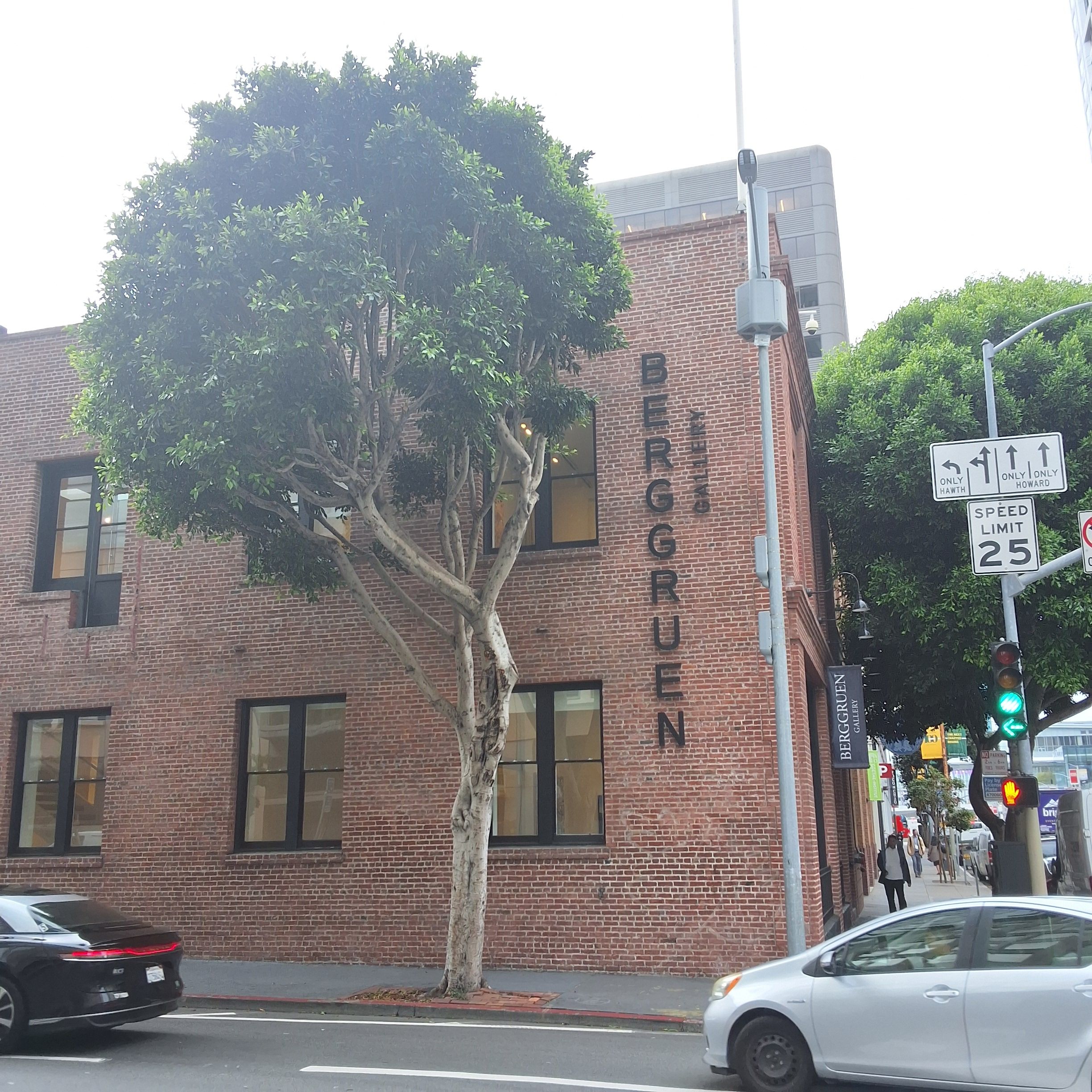 10 Hawthorne Street tree