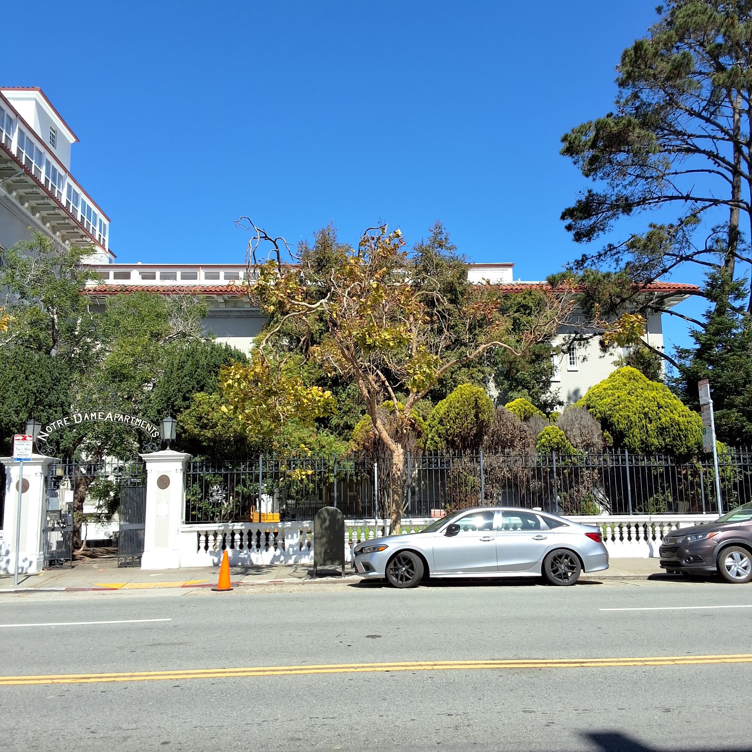 1590 Broadway tree