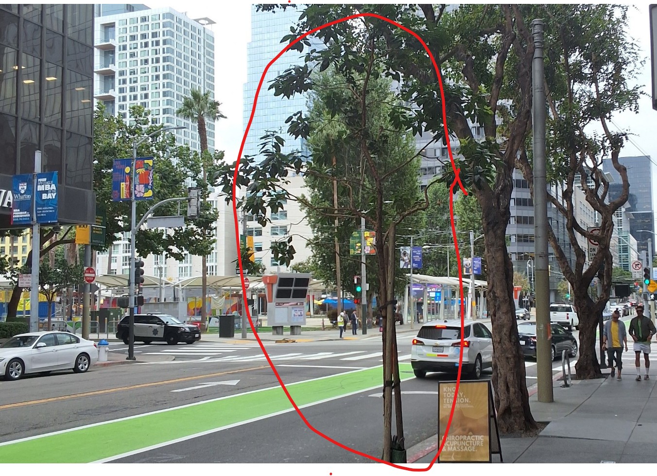 180 Howard St tree