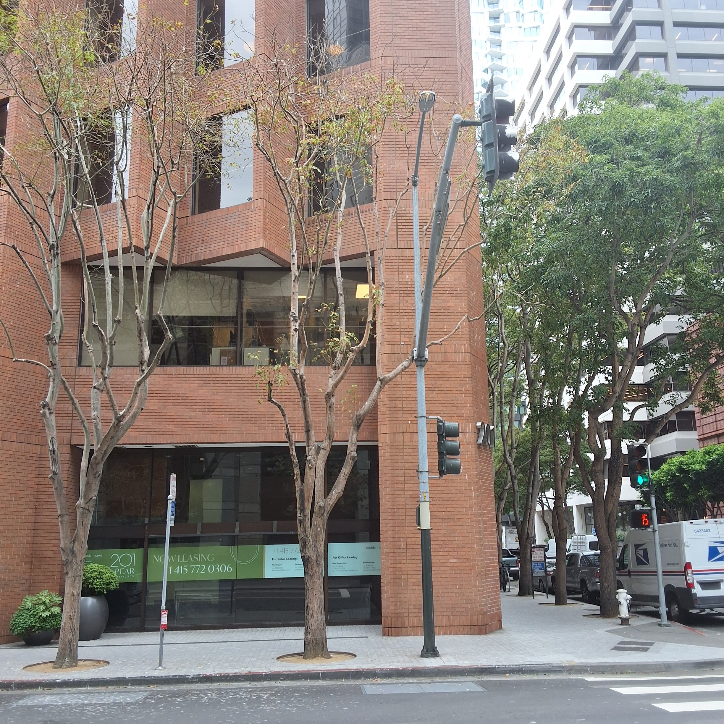 77 Howard St tree