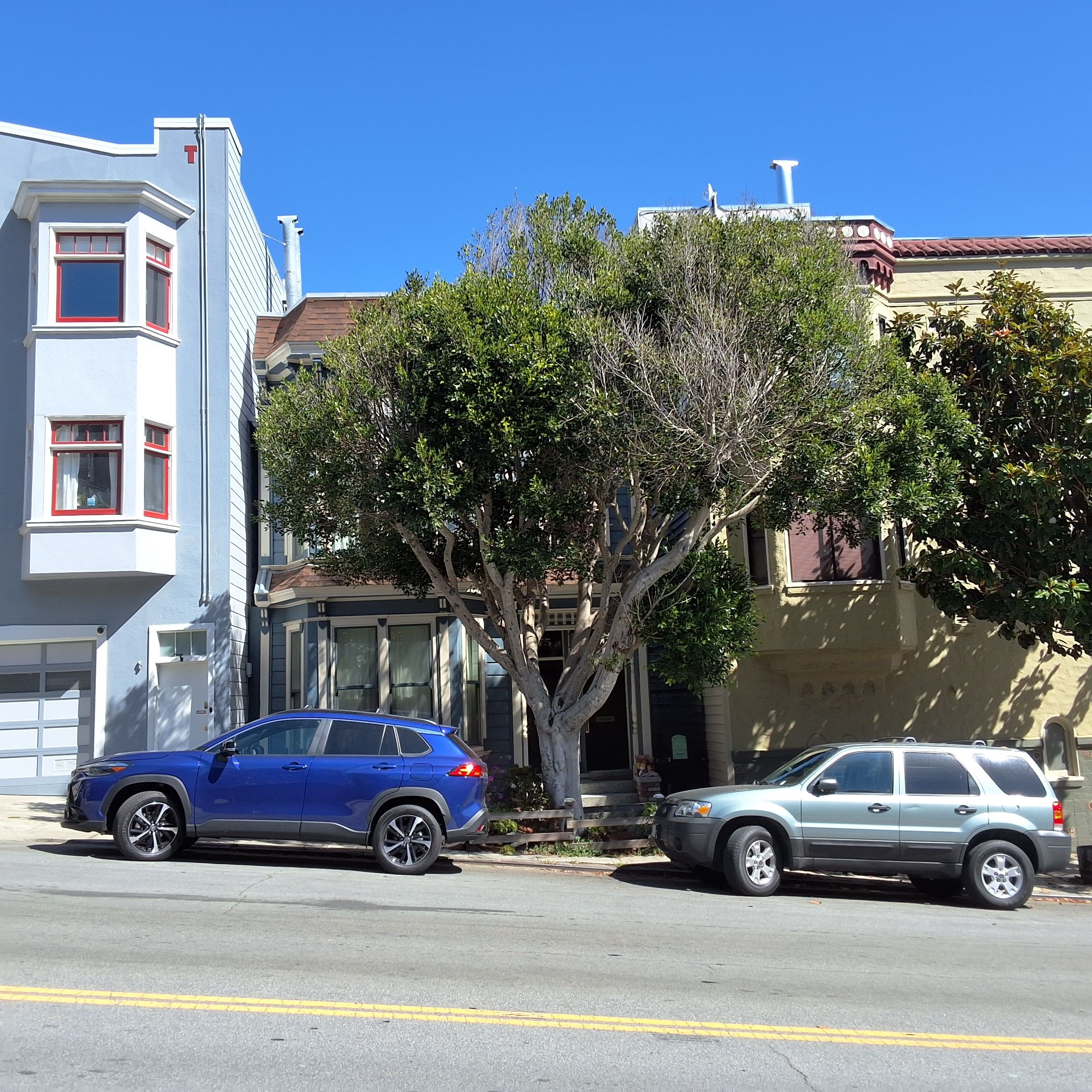 975 Church St tree