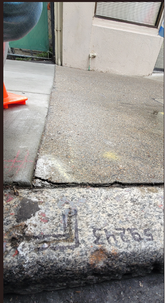 Photo shows the sidewalk from the curb to the building.