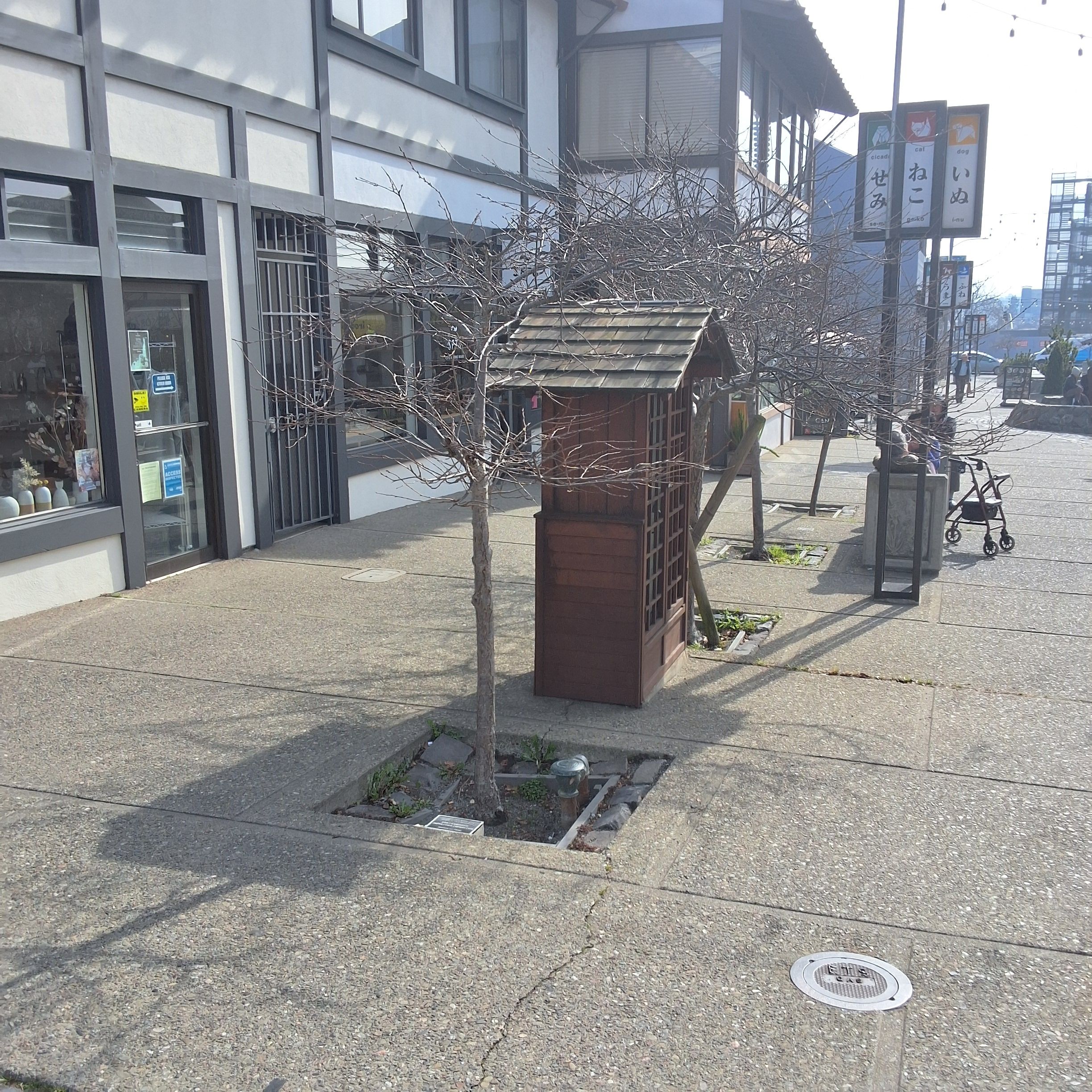 1756 Buchanan Street tree