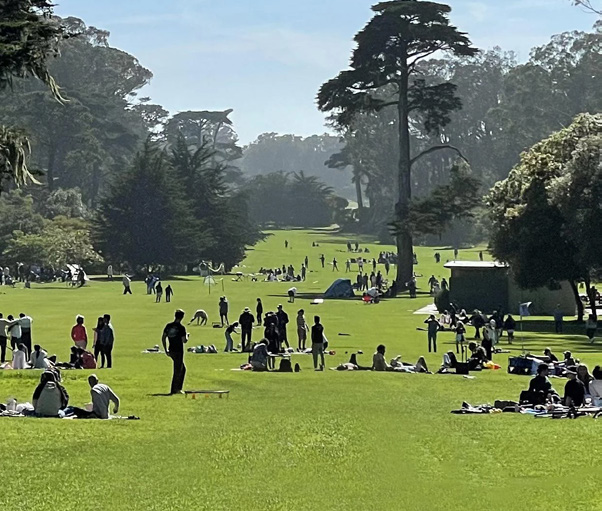 Golden Gate Park
