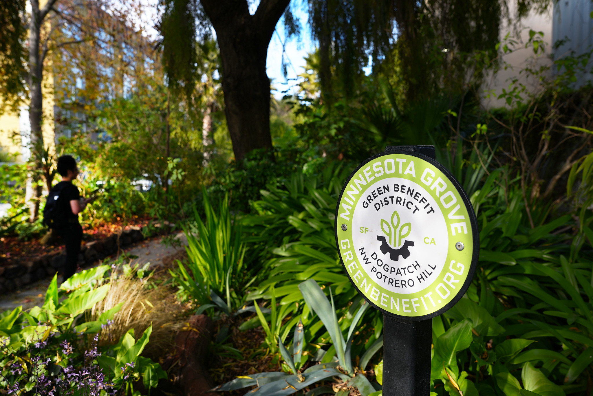 Minnesota Grove sign