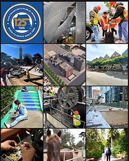 collage of images from 2025 projects
